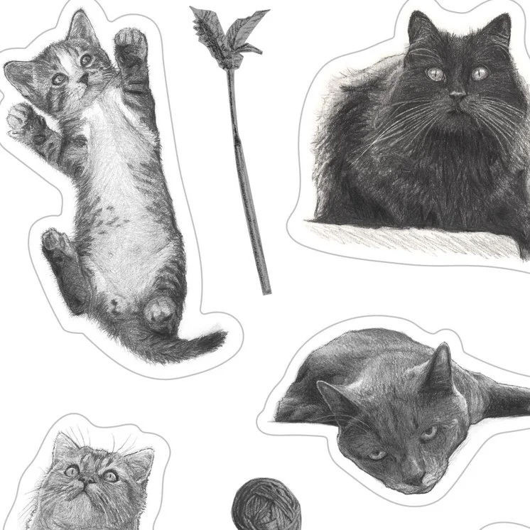 Kassekleepsuleht, B&W ZOOM.jpeg