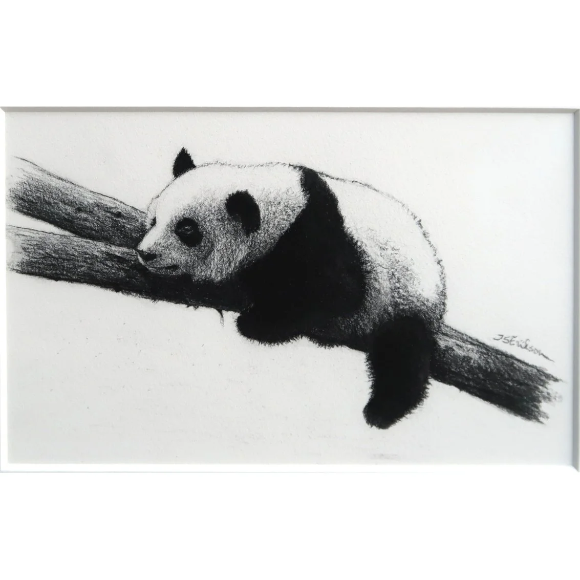Panda orig süsi zoom.jpeg