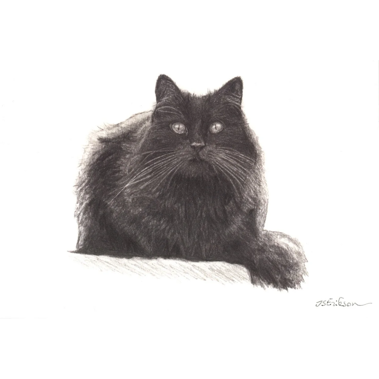 The Void Stares Back (Postcard)