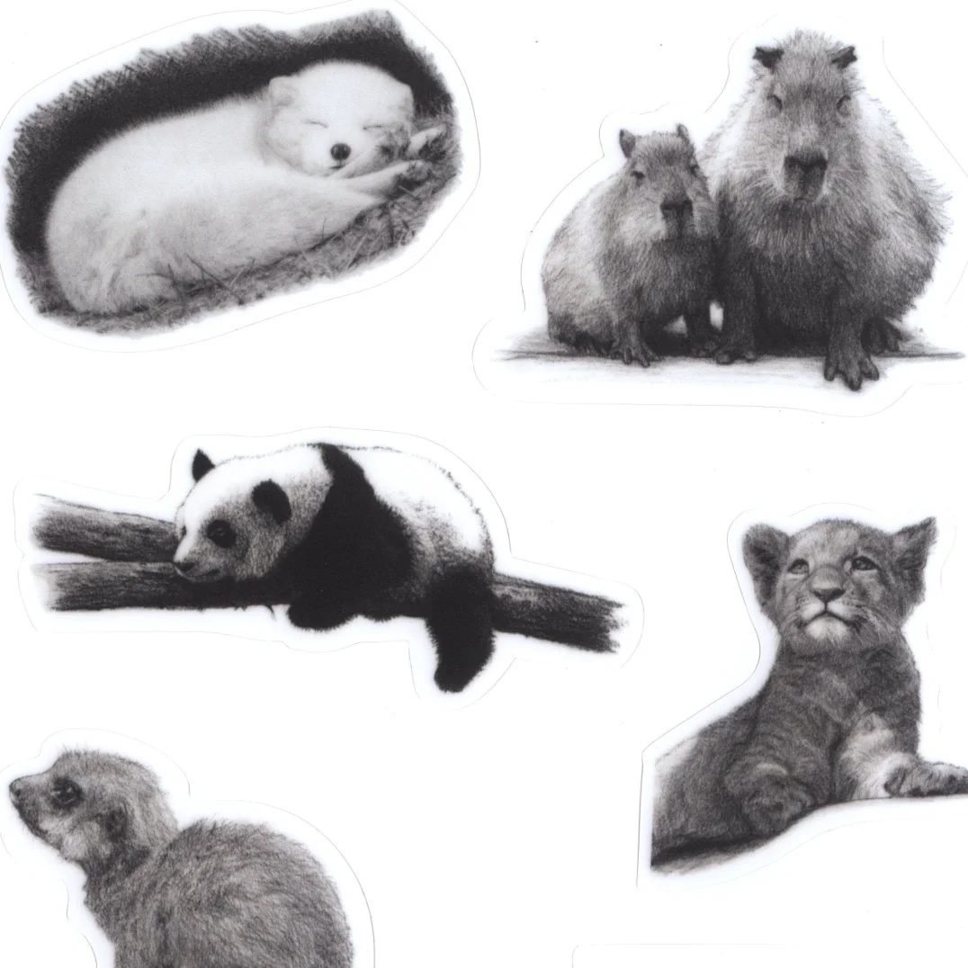 kleepsud mv lamineeritud zoom 2025.jpeg