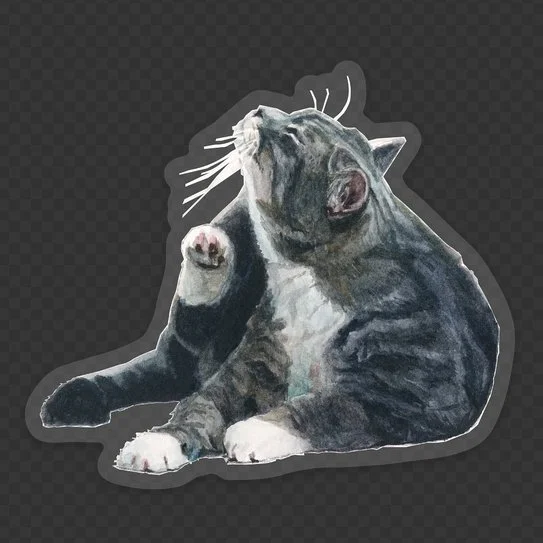 Scratching is My Second Hobby B (eraldi kleeps).jpeg