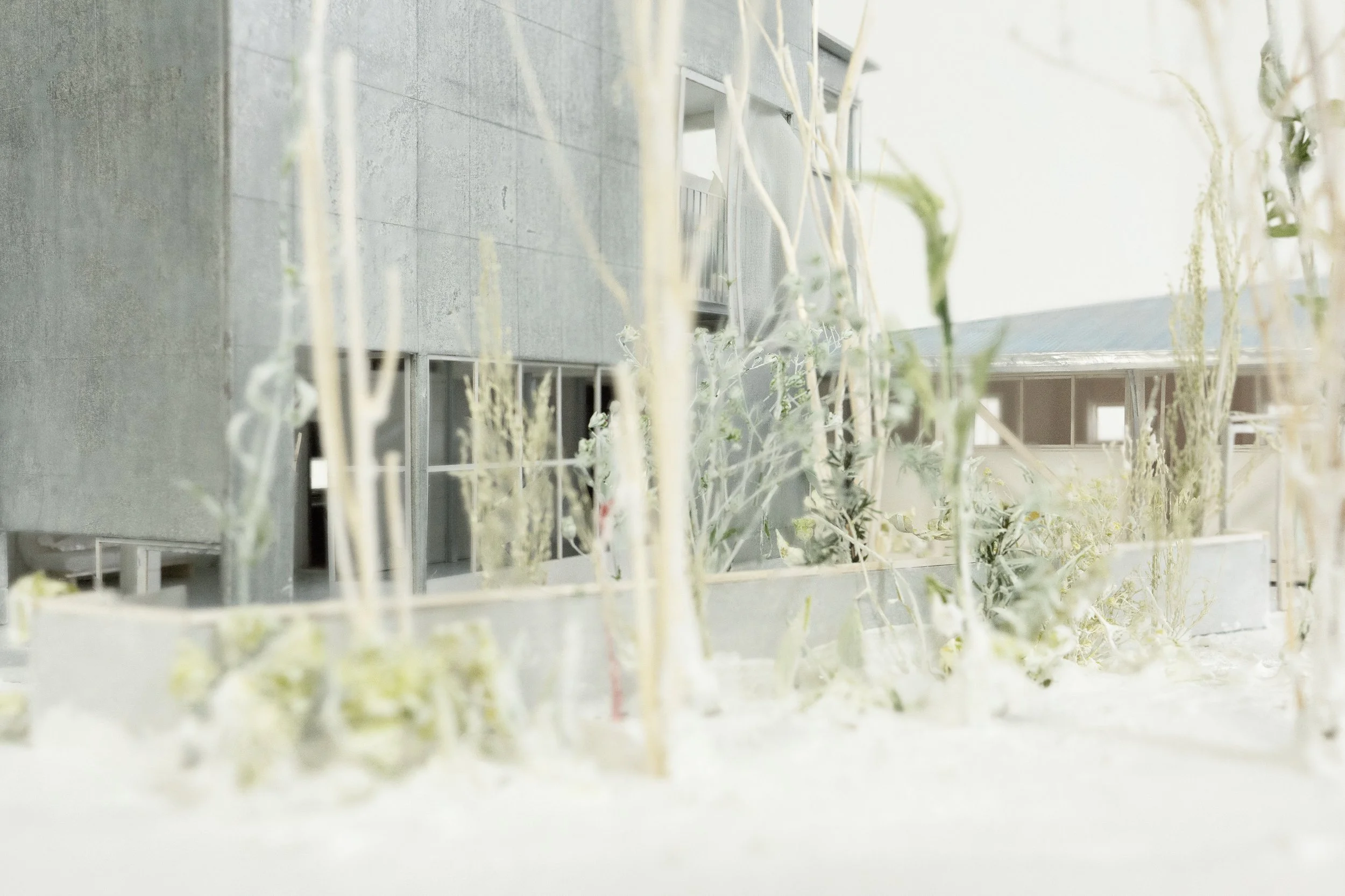 _DSC6872_コラージュ_2.jpg