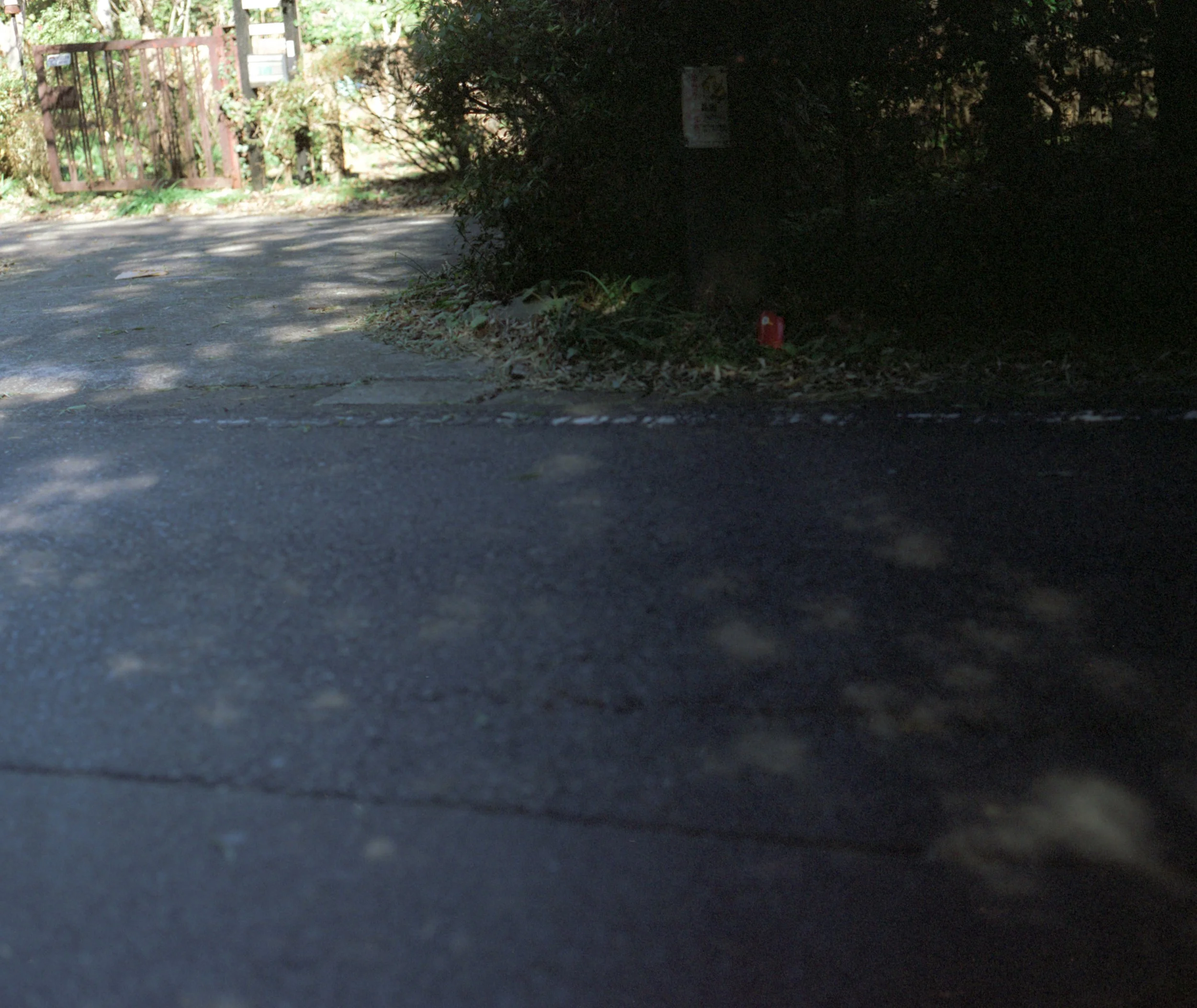 Close-up view of a paved sidewalk with patches of shadows, and a curb with grass and bushes along it, in a residential area.