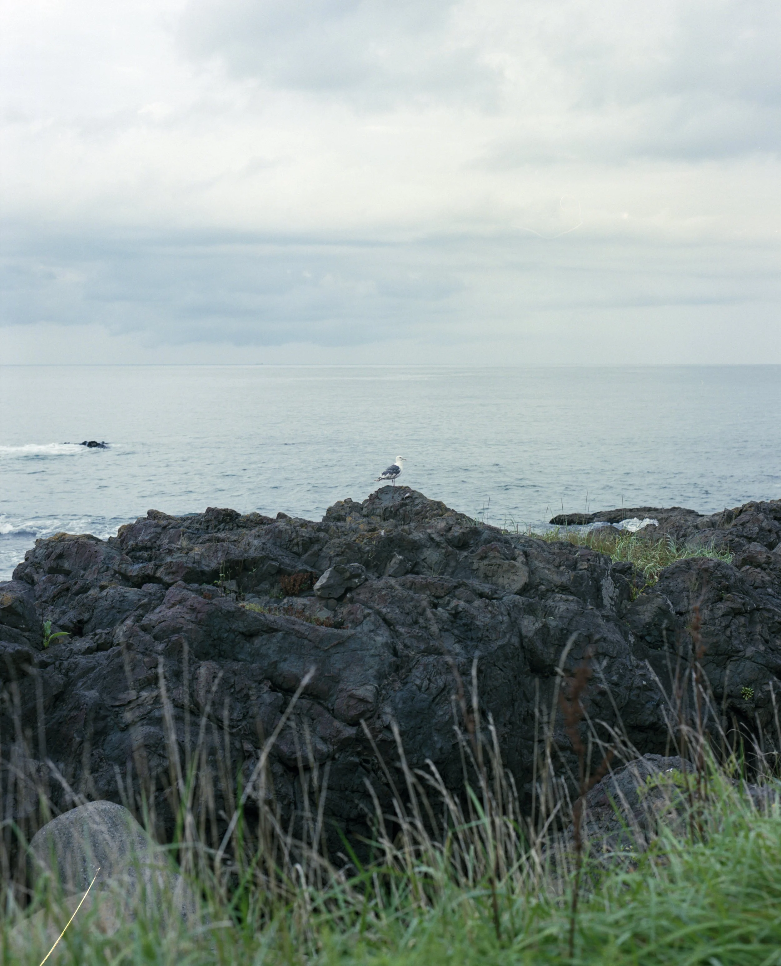 okinawa (4)_1.jpg