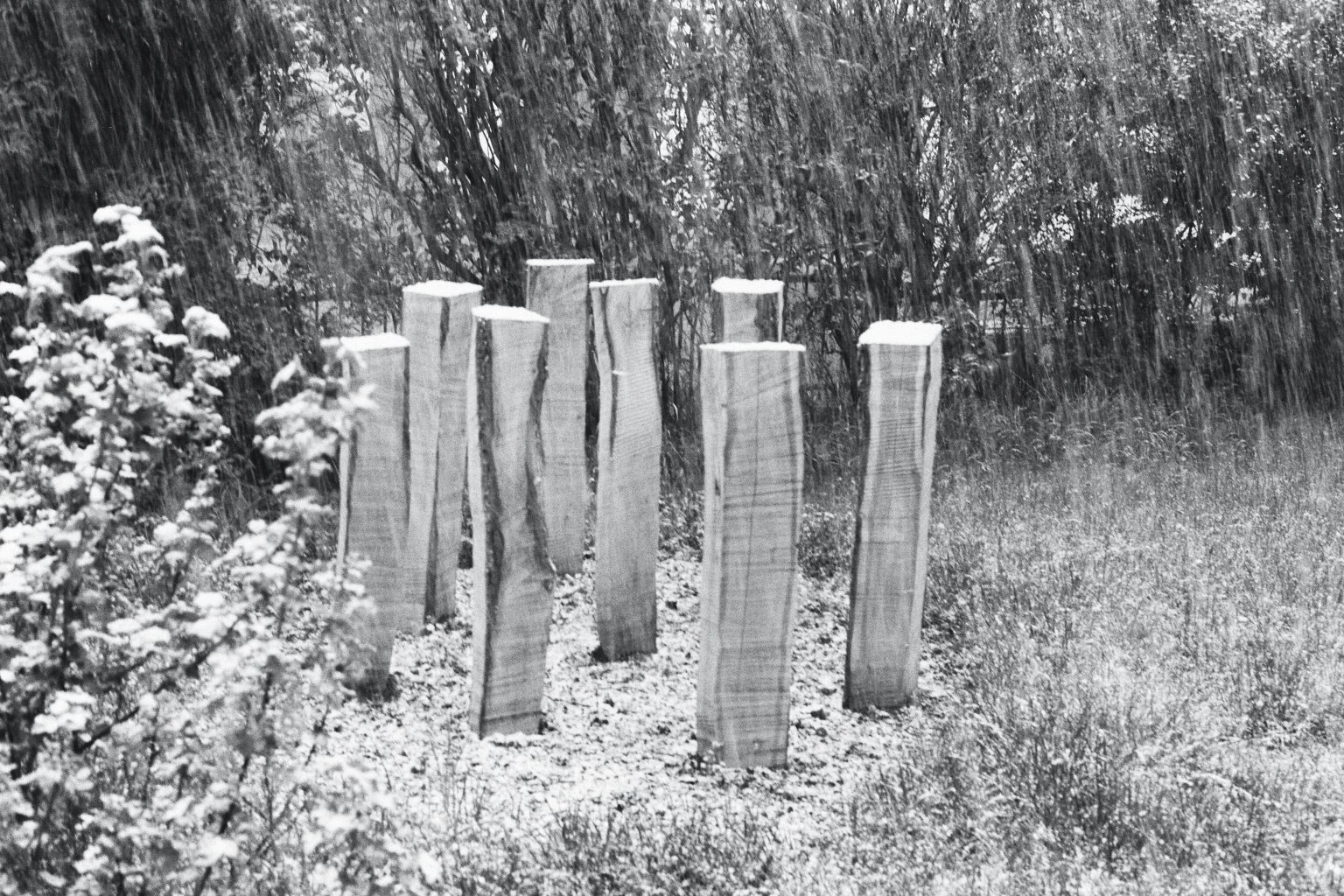 Installation Eichen stämme 2016.jpg