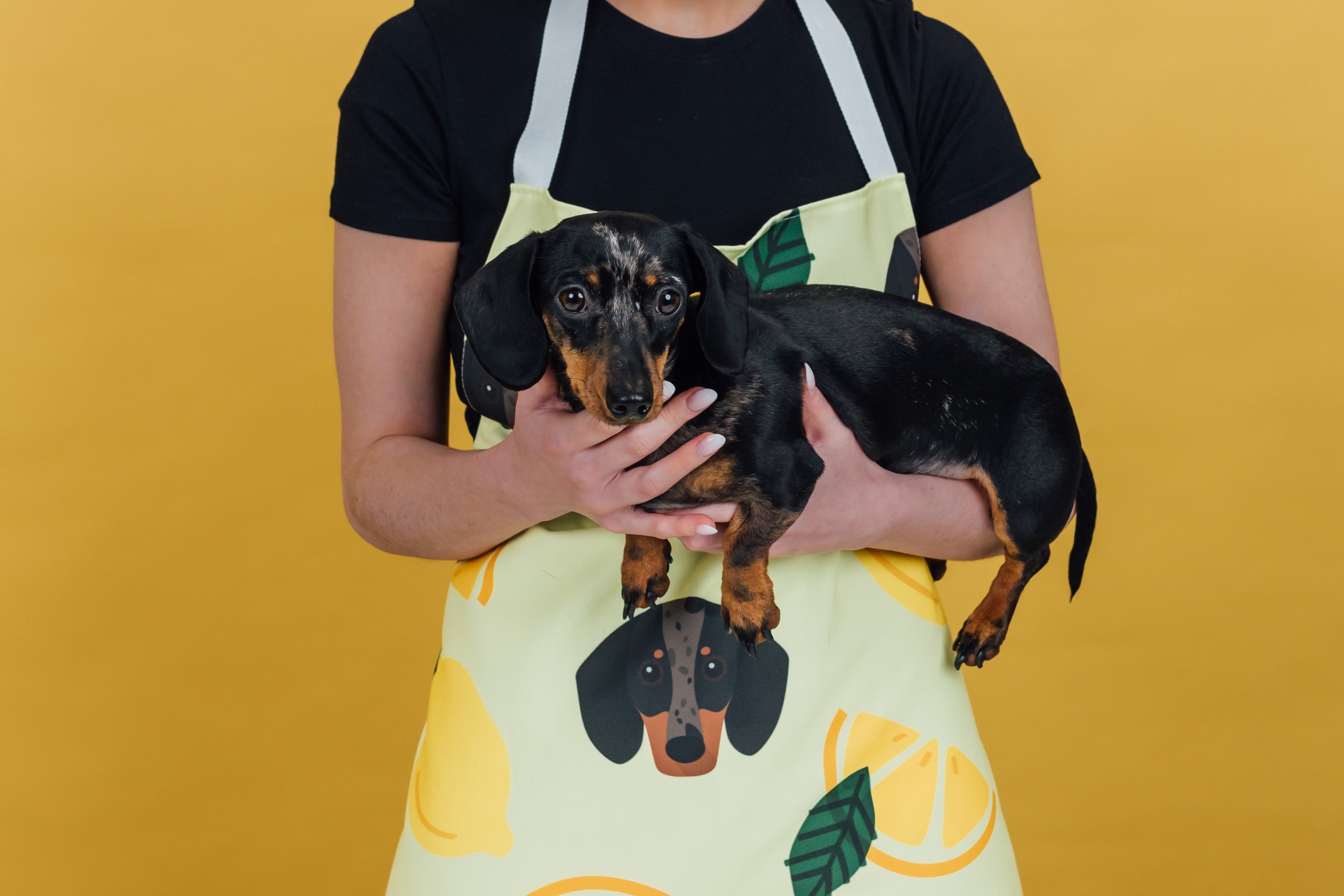 yappy dog apron, personalized dog apron, customized dog apron, custom yappy apron