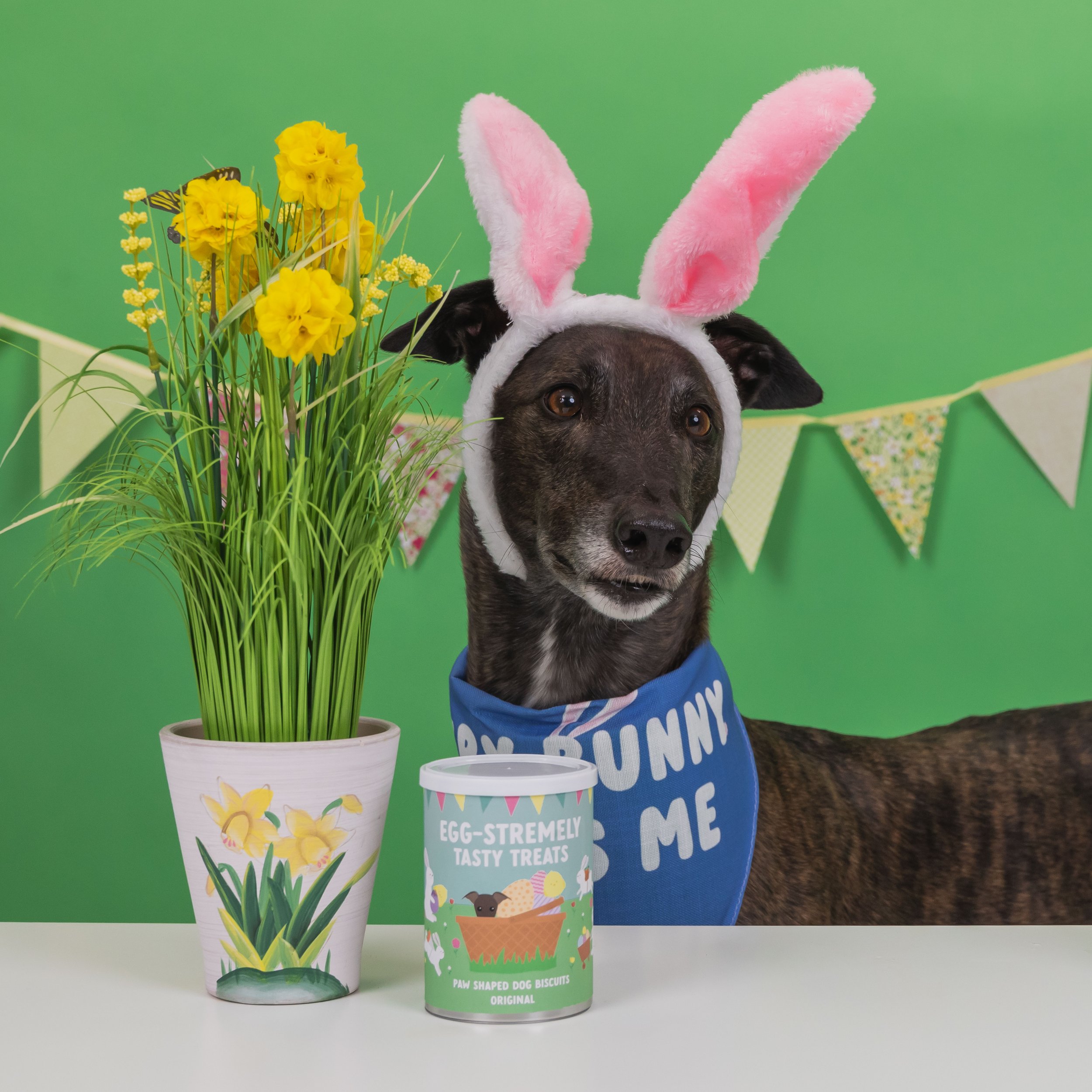 Dog Easter Gifts: Must-Have Treats for Dogs & Dog Lovers