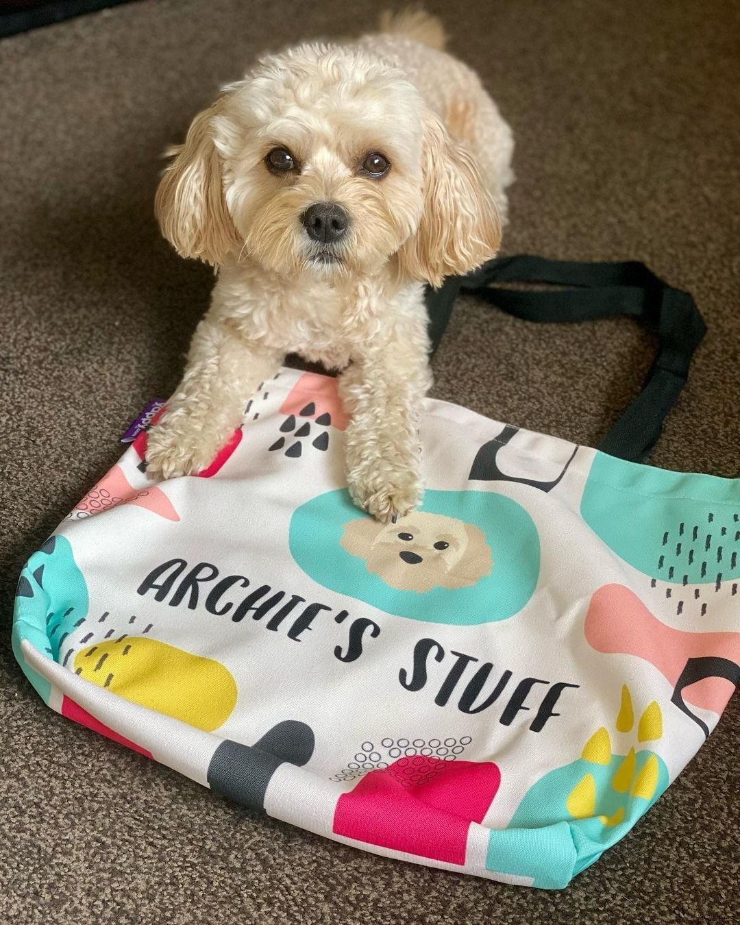 Personalized Overnight Dog Bags