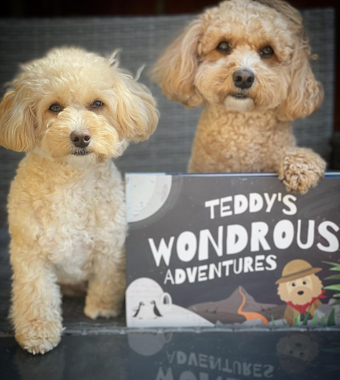 Personalized Story Book: Wondrous Adventures