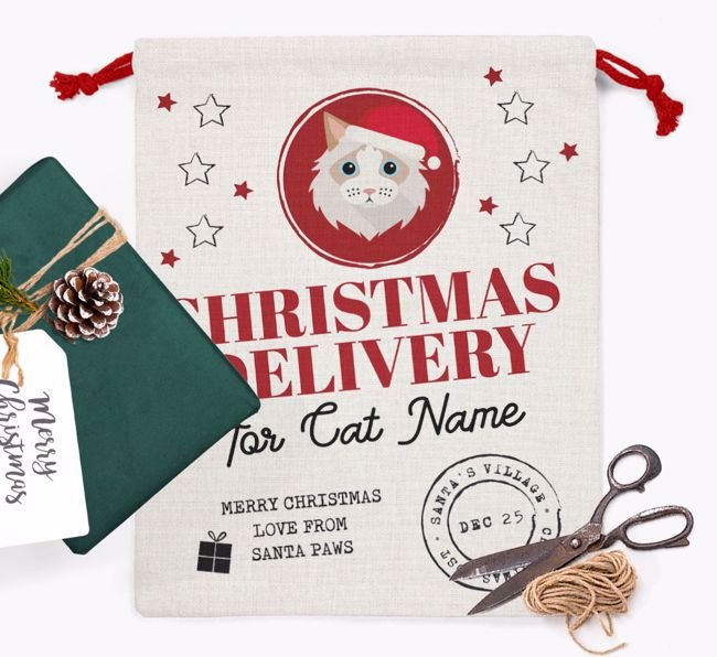 'Christmas Delivery' - Personalized Cat Santa Sack