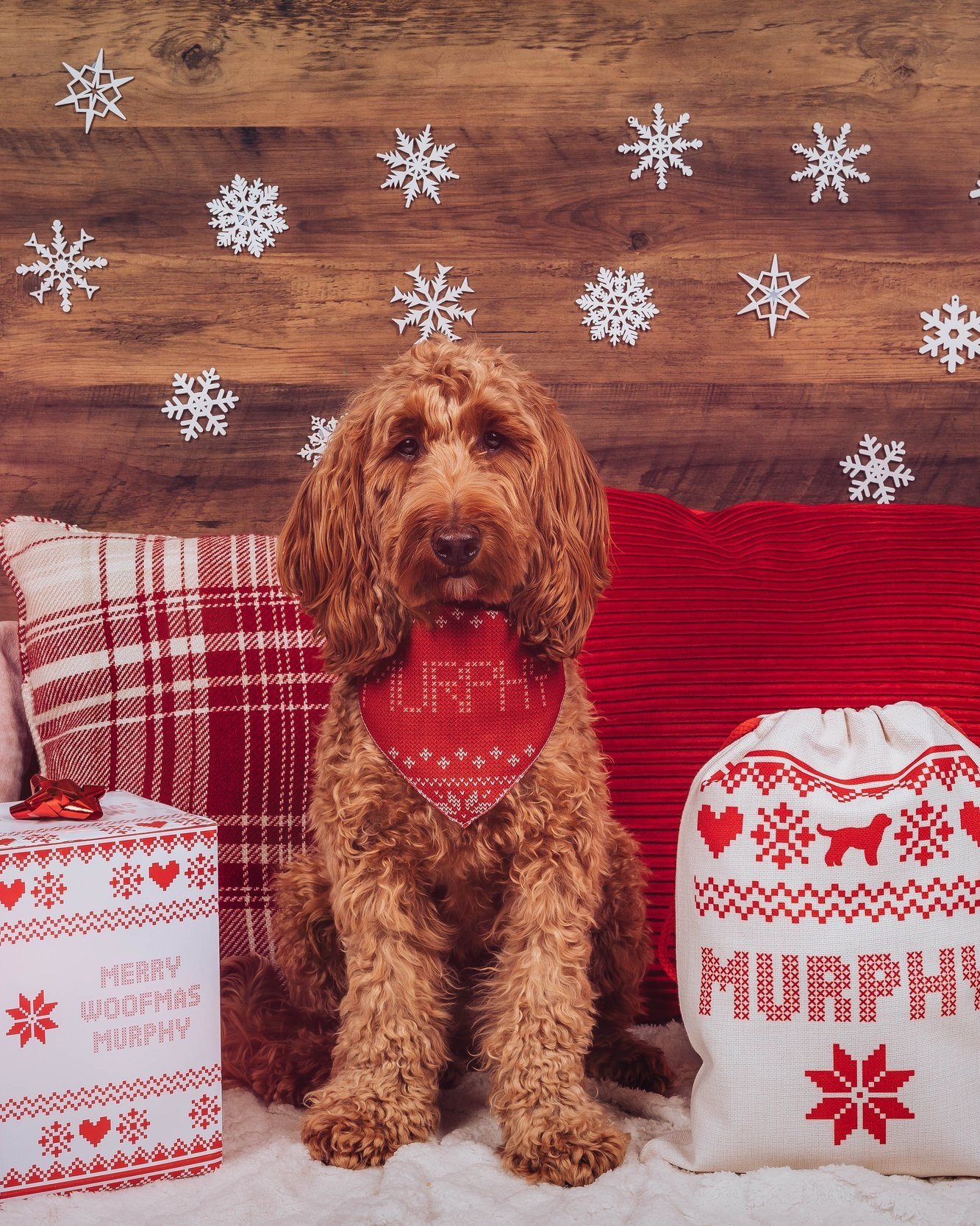 The Most Pupular Holiday Dog Names In The U.S. Revealed