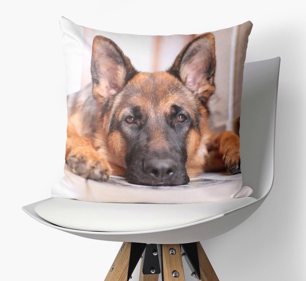 Personalized Dog Pillows