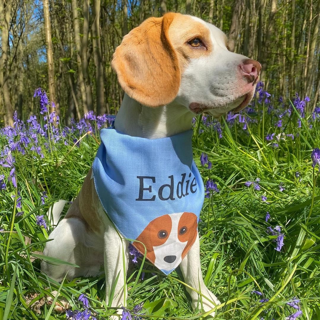 Personalized Dog Bandanas