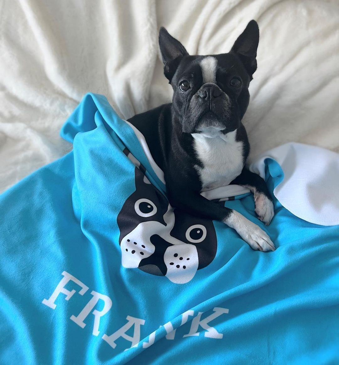 dog blanket, personalized dog blanket, yappy dog blanket, personalized yappy dog blanket and boston terrier