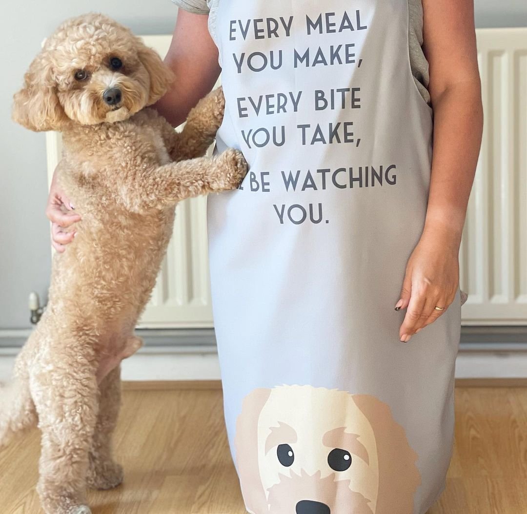 dog apron, custom dog apron, yappy dog custom apron