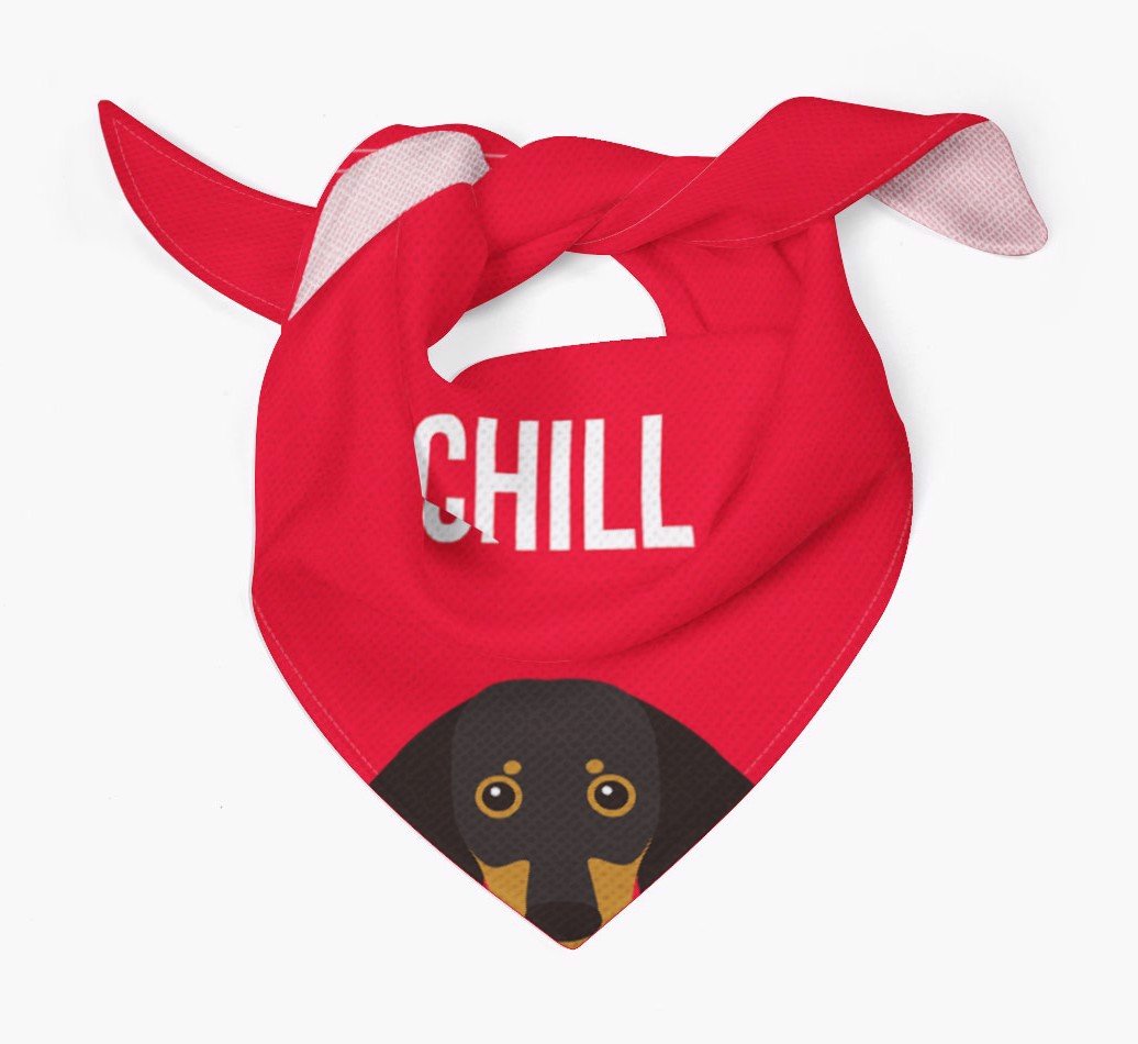 personalised dog bandana, chill dog bandana, personalised dog accessory