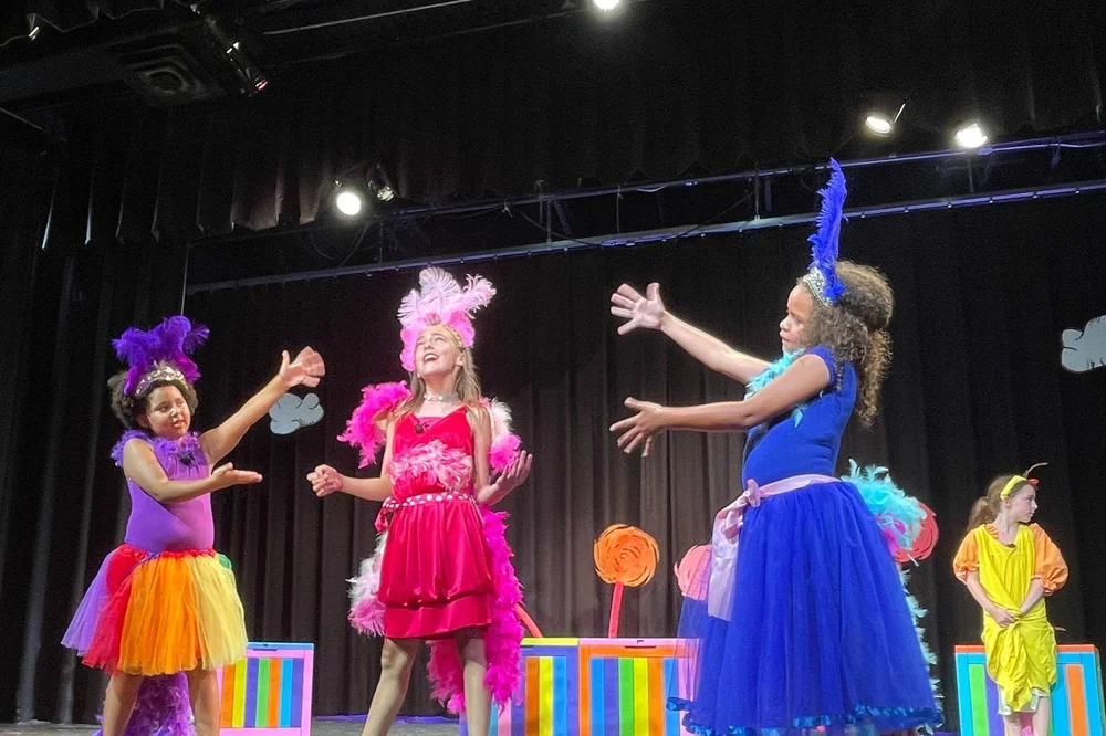 Summer Camp Registration — Crescendo School of Performing Arts