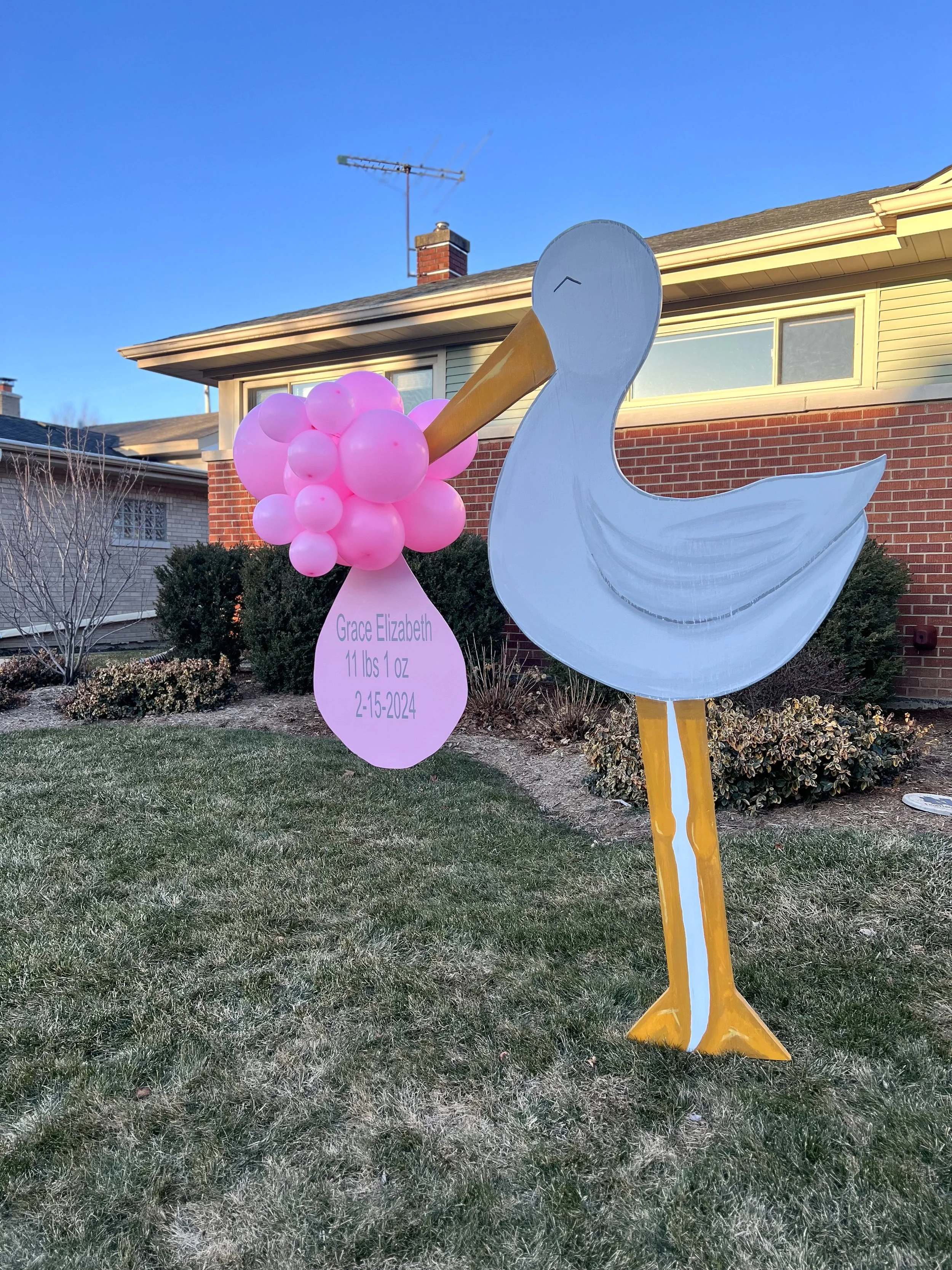 Stork.jpg