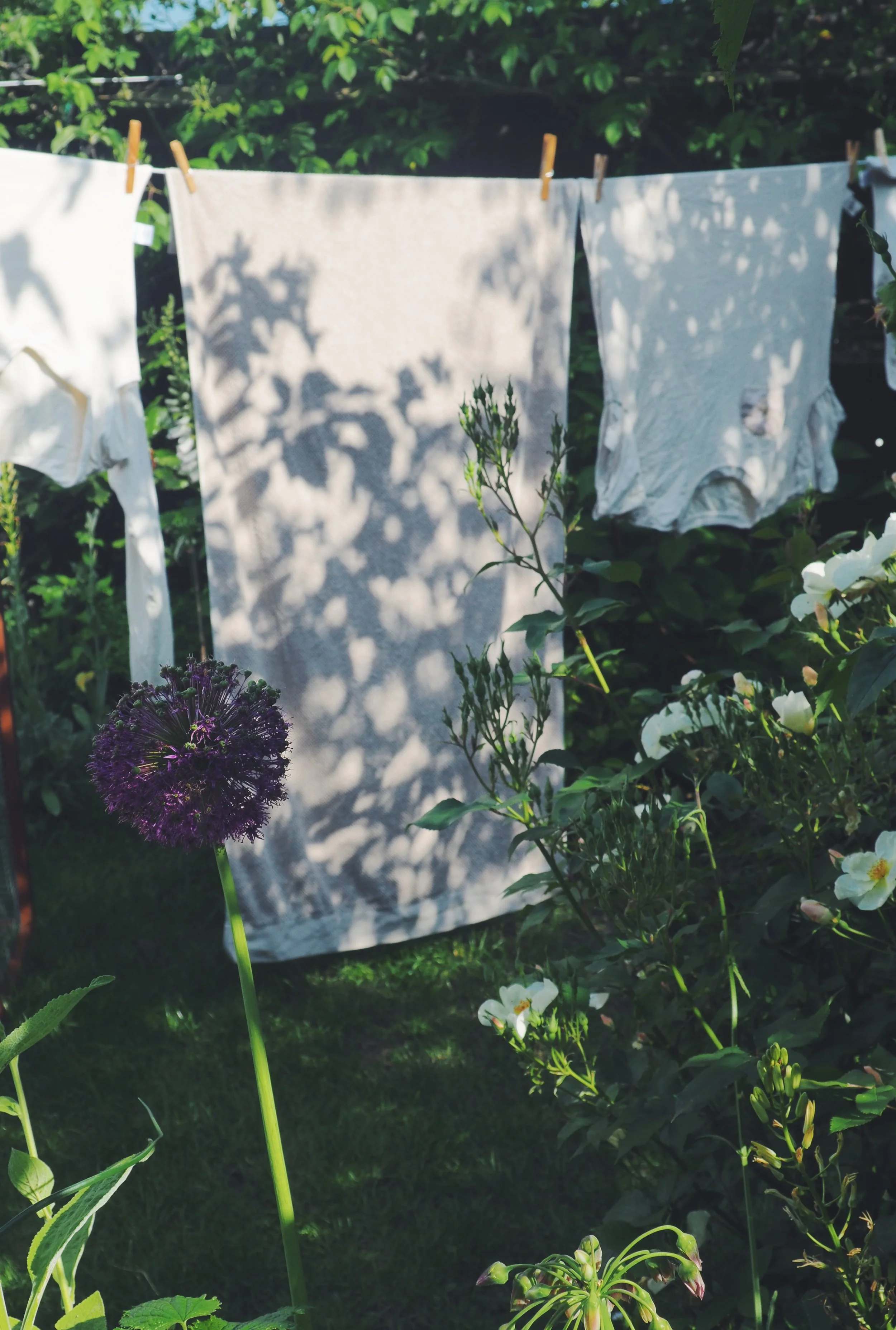 Mackintosh Martin Garden Design, Mackintosh Martin Garden Care, Cottage Garden, Garden Designer, East Sussex Planting Design, Thoughtful planting, design my garden, garden help, Garden Inspiration, Liza Mackintosh, Design Services, Beautiful Garden,