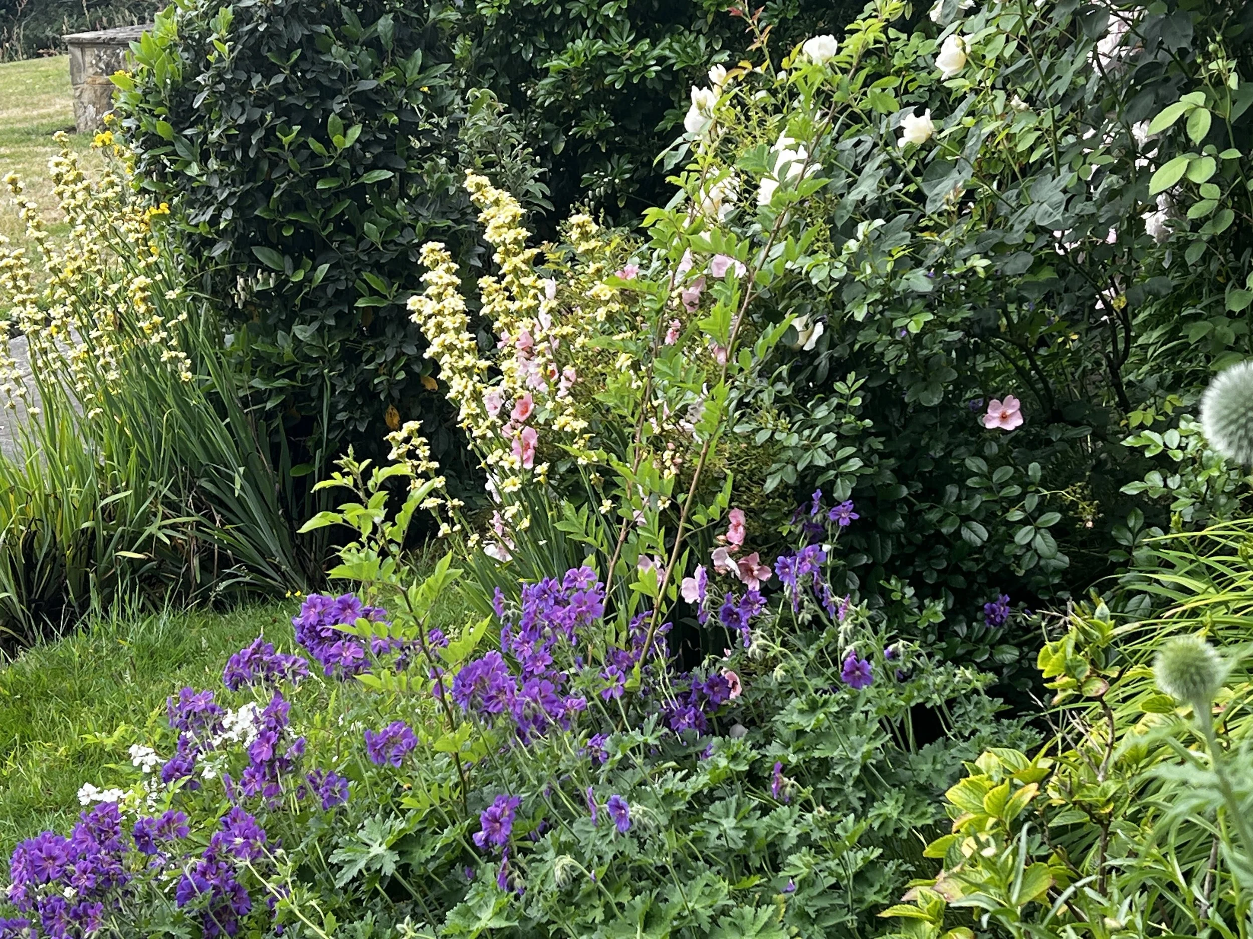 Garden Design, Planting Design, Sussex Garden Designer, Mackintosh Martin, Bespoke Garden, Help design my garden, thoughtful design, make my garden beautiful, garden designer, crafted garden, landscaping sussex, landscape design, garden design plan,