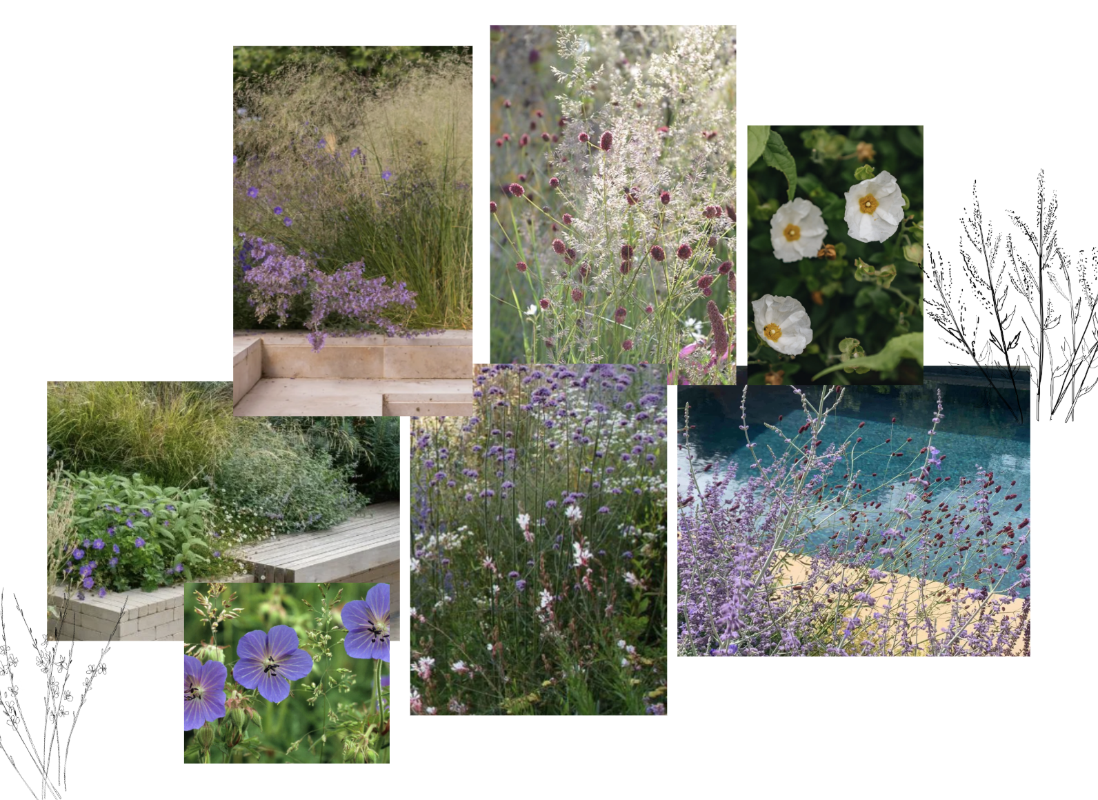 Garden Design, Planting Design, Thoughtful garden design, crafted gardens, Sussex gardening, gardens, design my garden, garden design ideas, small garden design, modern garden, professional garden designer garden makeover, mayfield, east sussex,