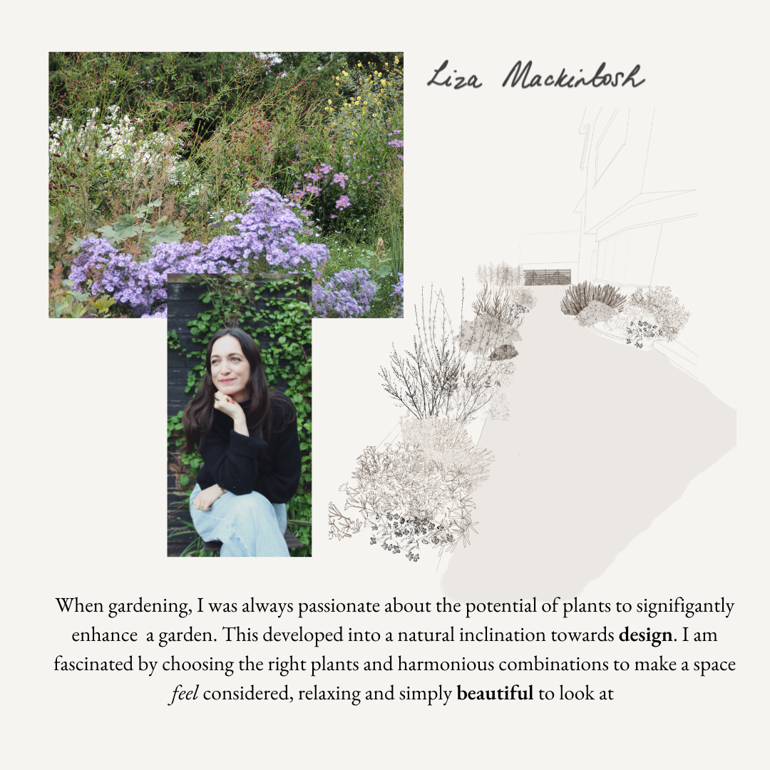 Garden Design, Planting Design, Thoughtful garden design, crafted gardens, Sussex gardening, gardens, design my garden, garden design ideas, small garden design, modern garden, professional garden designer garden makeover, mayfield, east sussex,