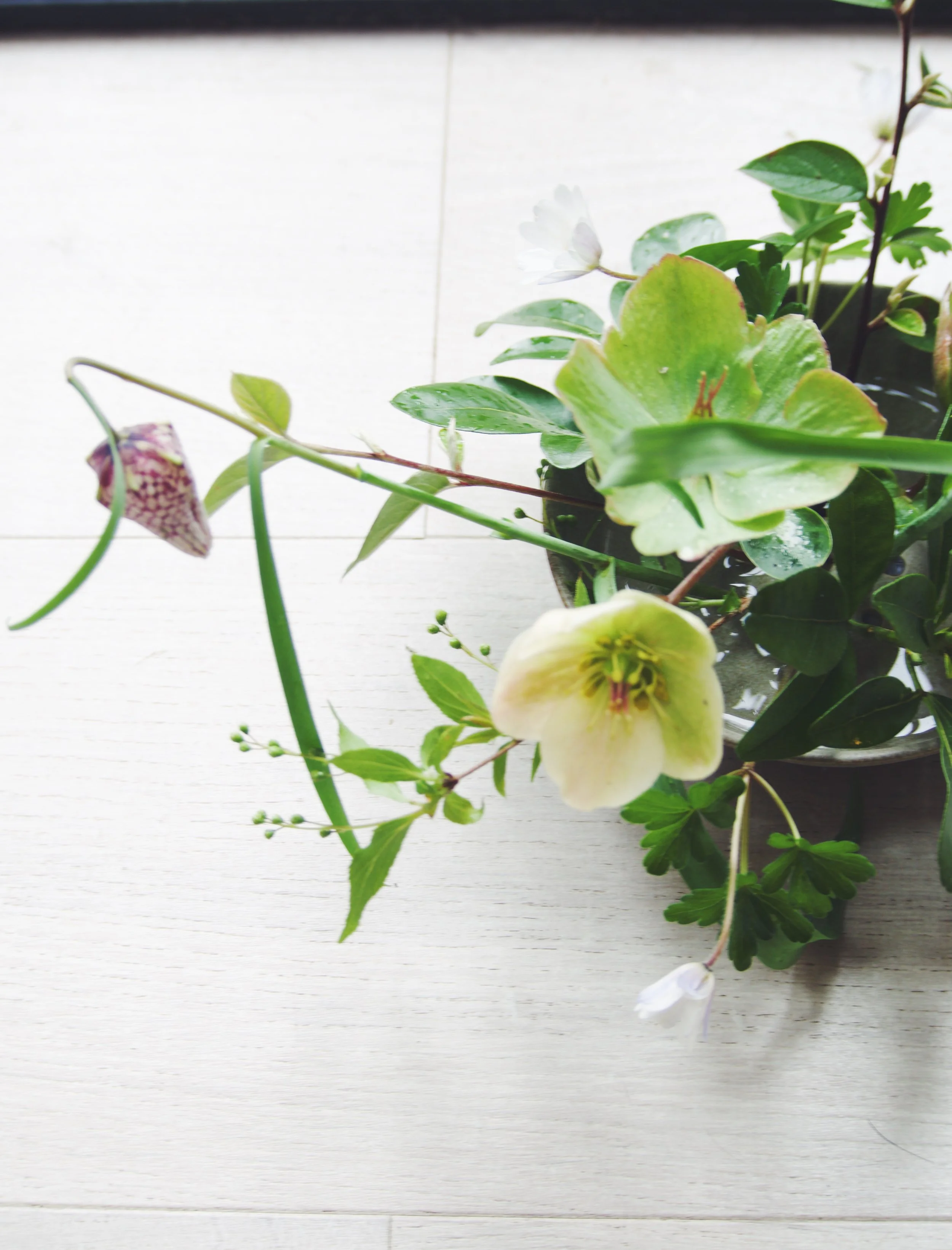 Garden Design, Planting Design, spring bouquet, Mackintosh Martin, Design work, Garden designer, dream garden, create a beautiful garden,