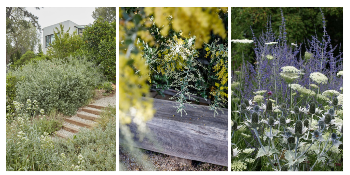 Three garden scenes: left shows a modern house with a garden and stone steps, middle features yellow and green leafy plants, right displays a variety of purple and white flowering plants.