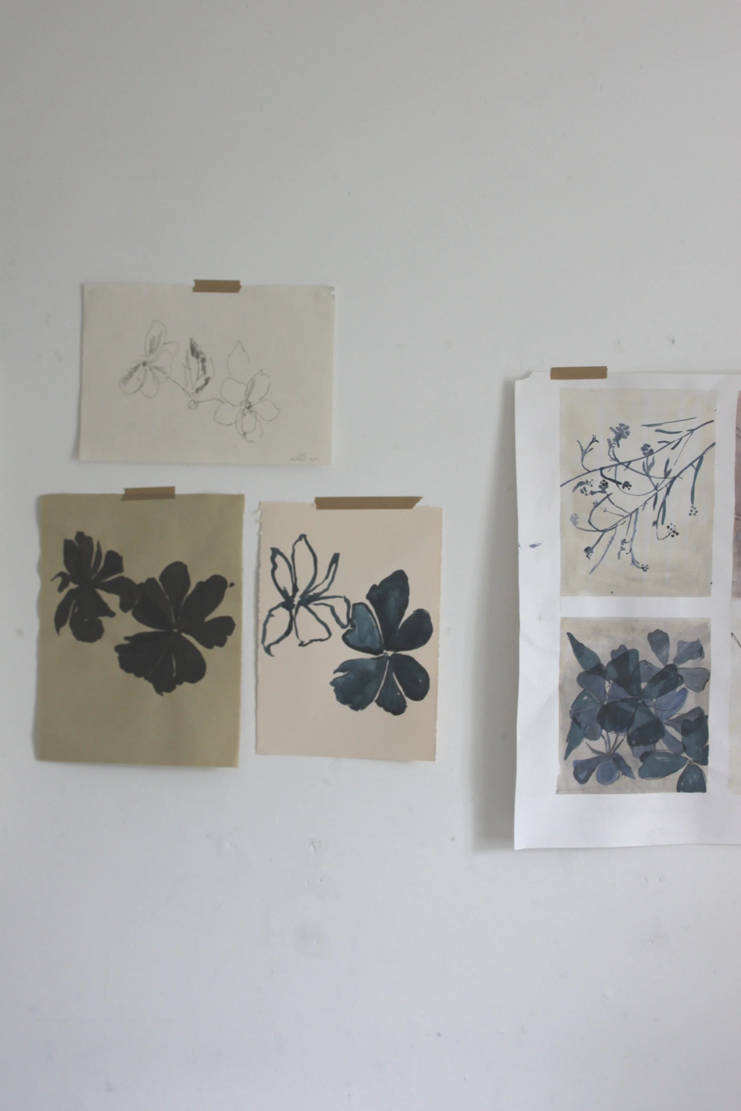 Garden Design, Planting Design, Mackintosh Martin, Botanical Drawing, Art for the home, Design for my garden, Design help
