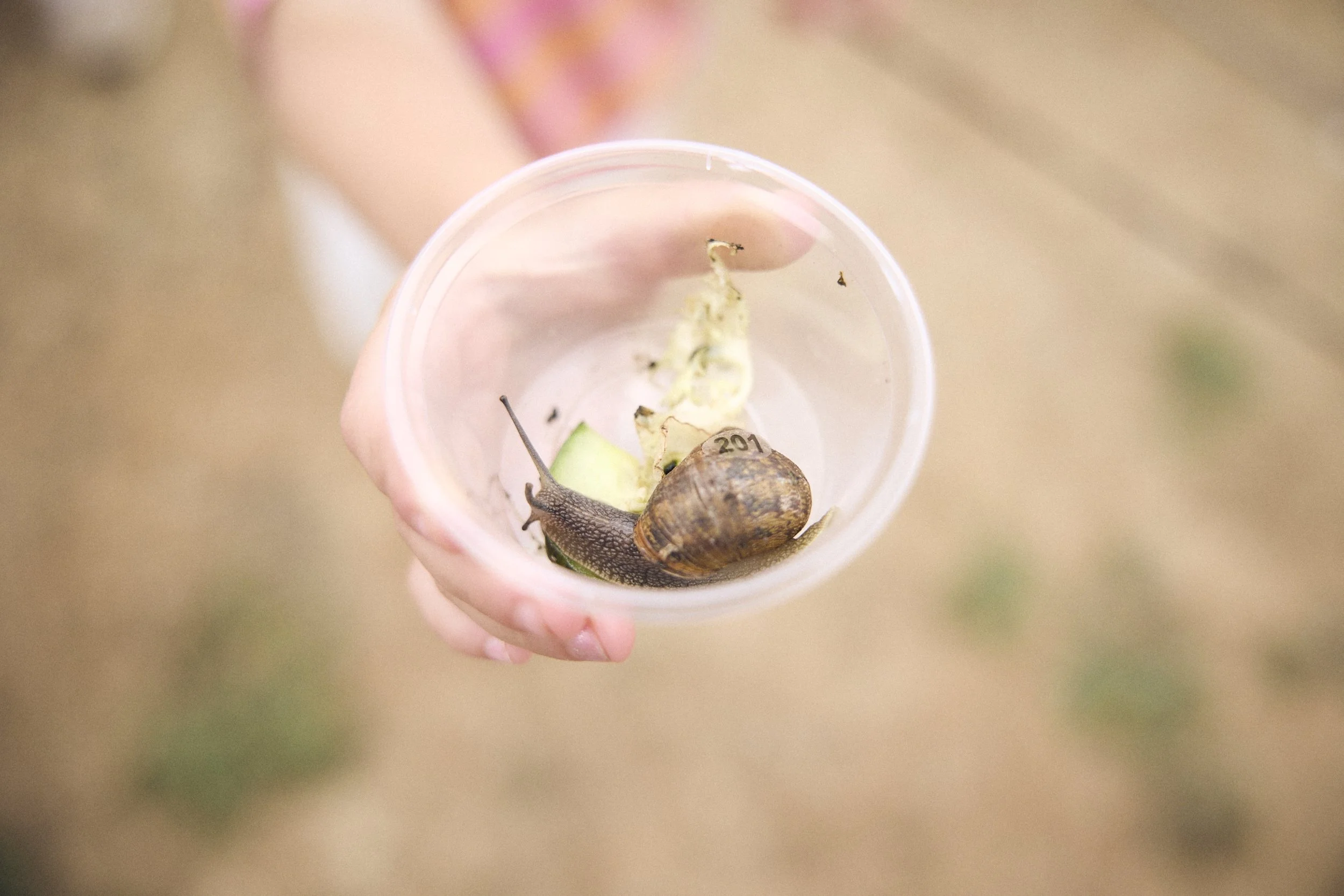 Liam_Prior_Snail_Race_World_Chamionshiops_2026_379.jpg