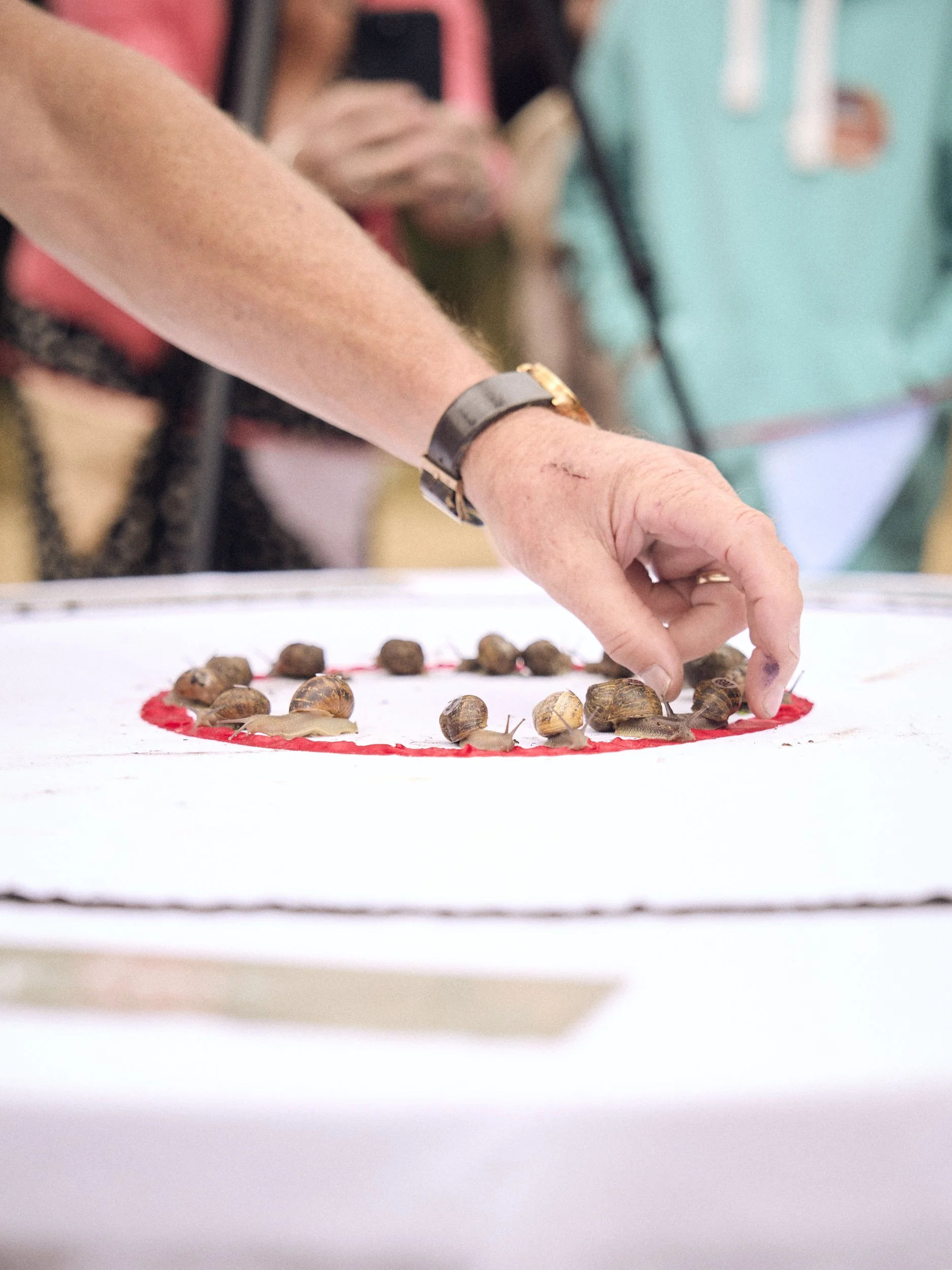 Liam_Prior_Snail_Race_World_Chamionshiops_2026_460.jpg