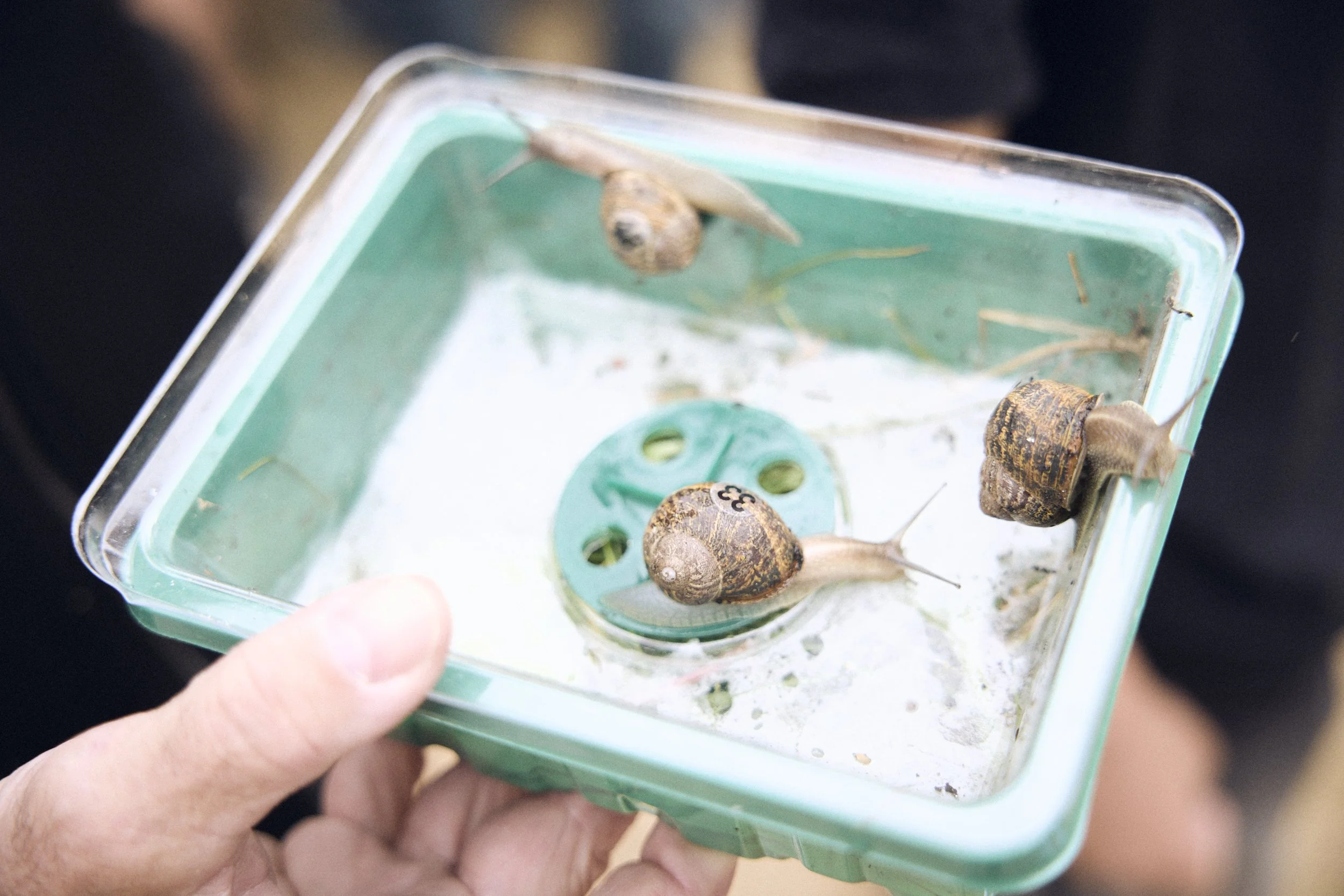 Liam_Prior_Snail_Race_World_Chamionshiops_2026_087.jpg