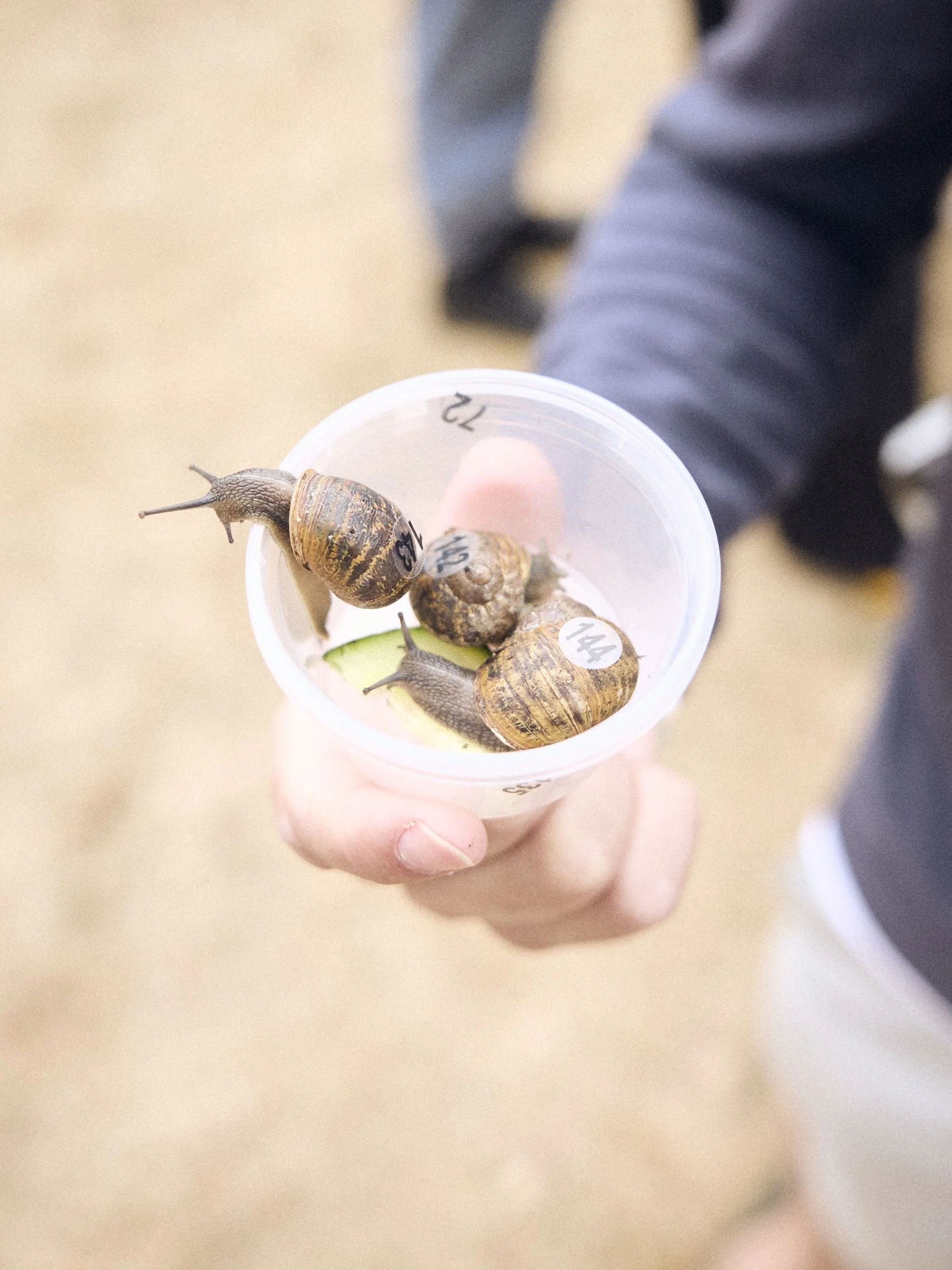 Liam_Prior_Snail_Race_World_Chamionshiops_2026_308.jpg