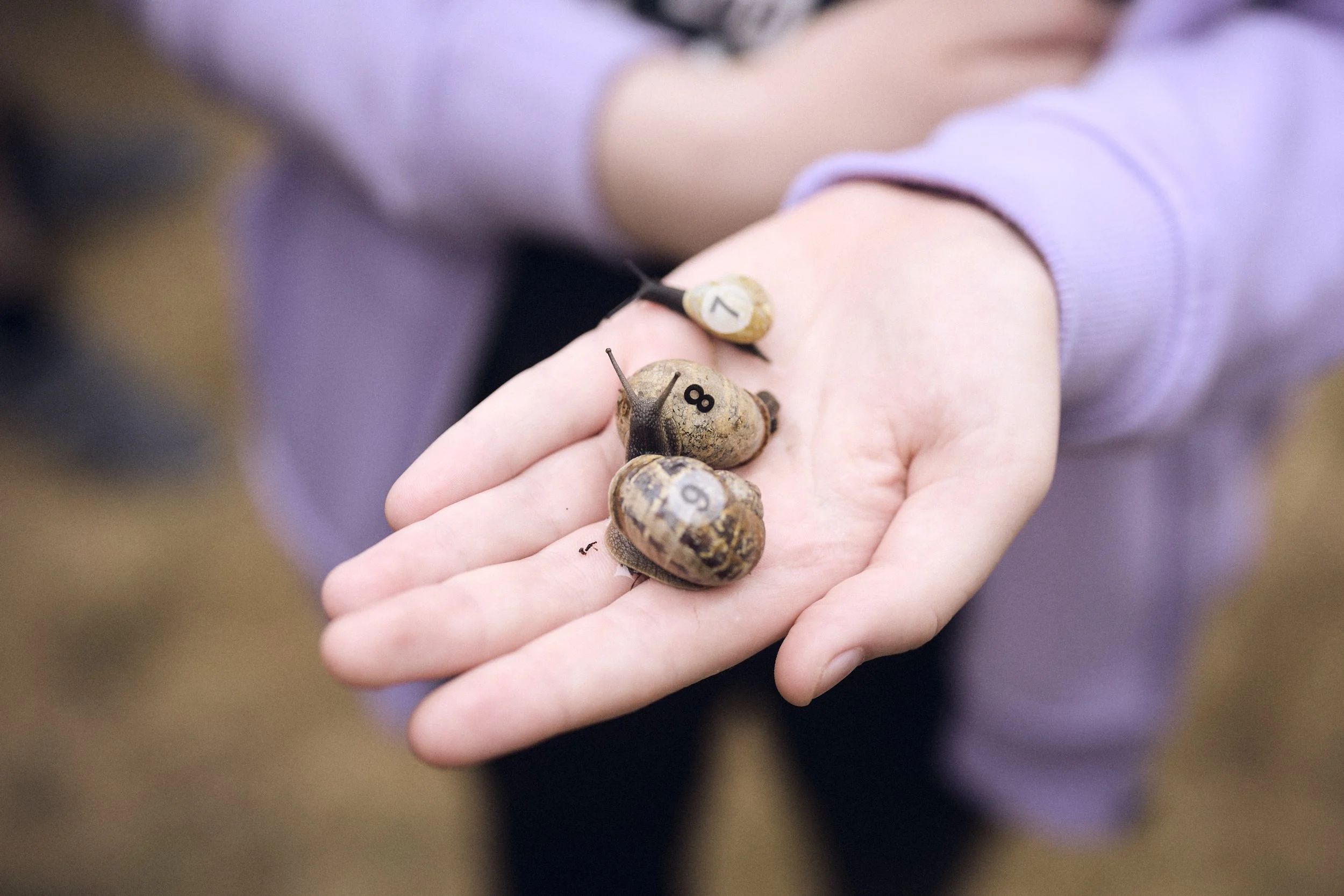 Liam_Prior_Snail_Race_World_Chamionshiops_2026_012.jpg