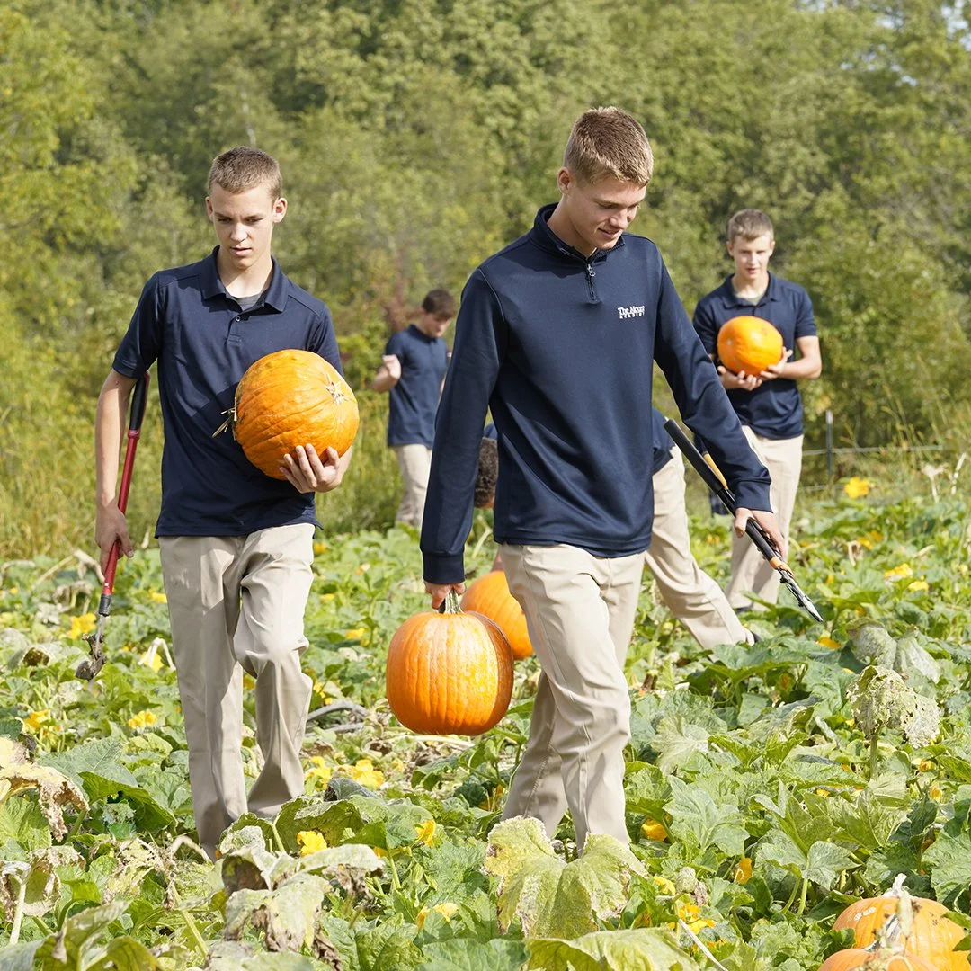 Pumpkin Harvest