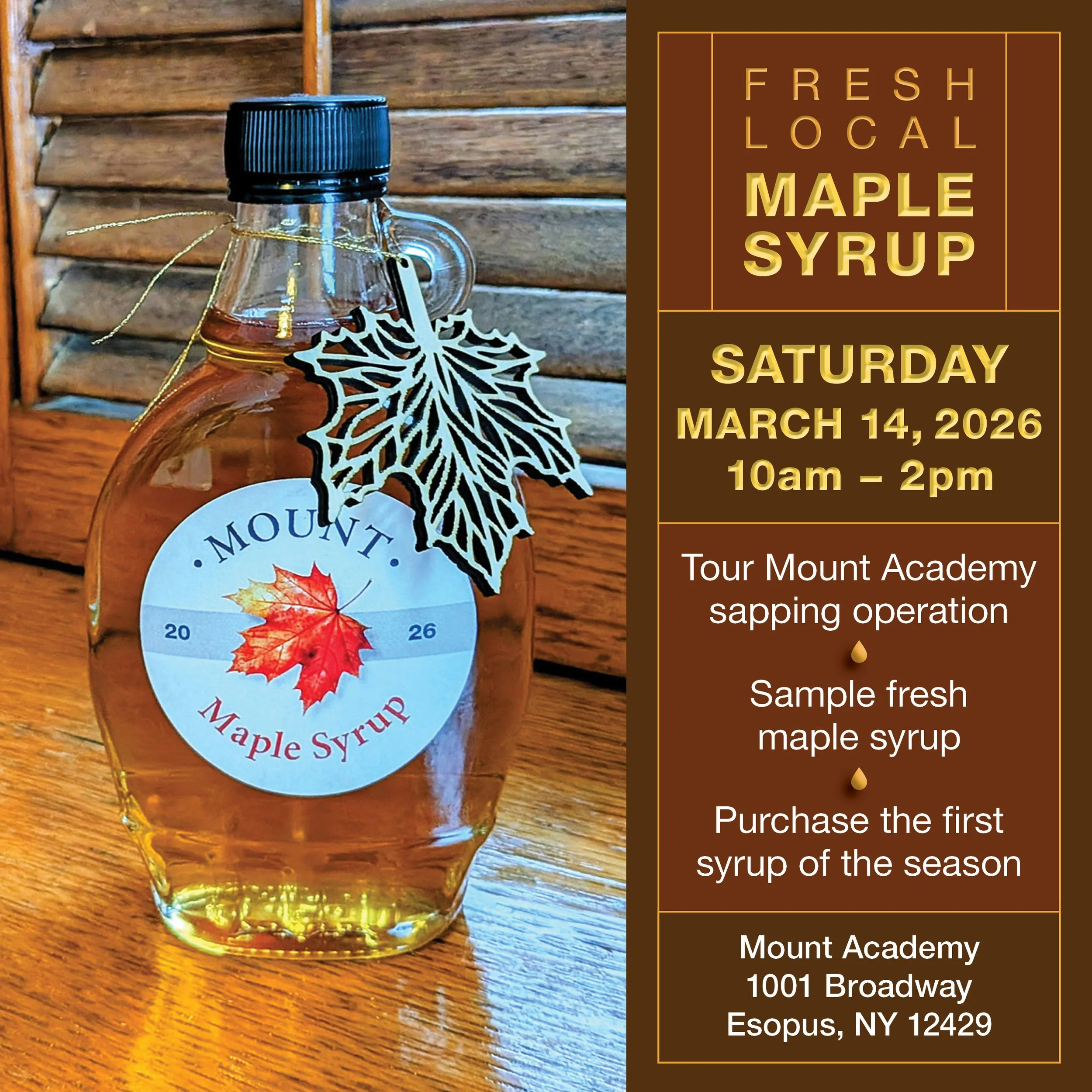 Maple sapping tour and tasting