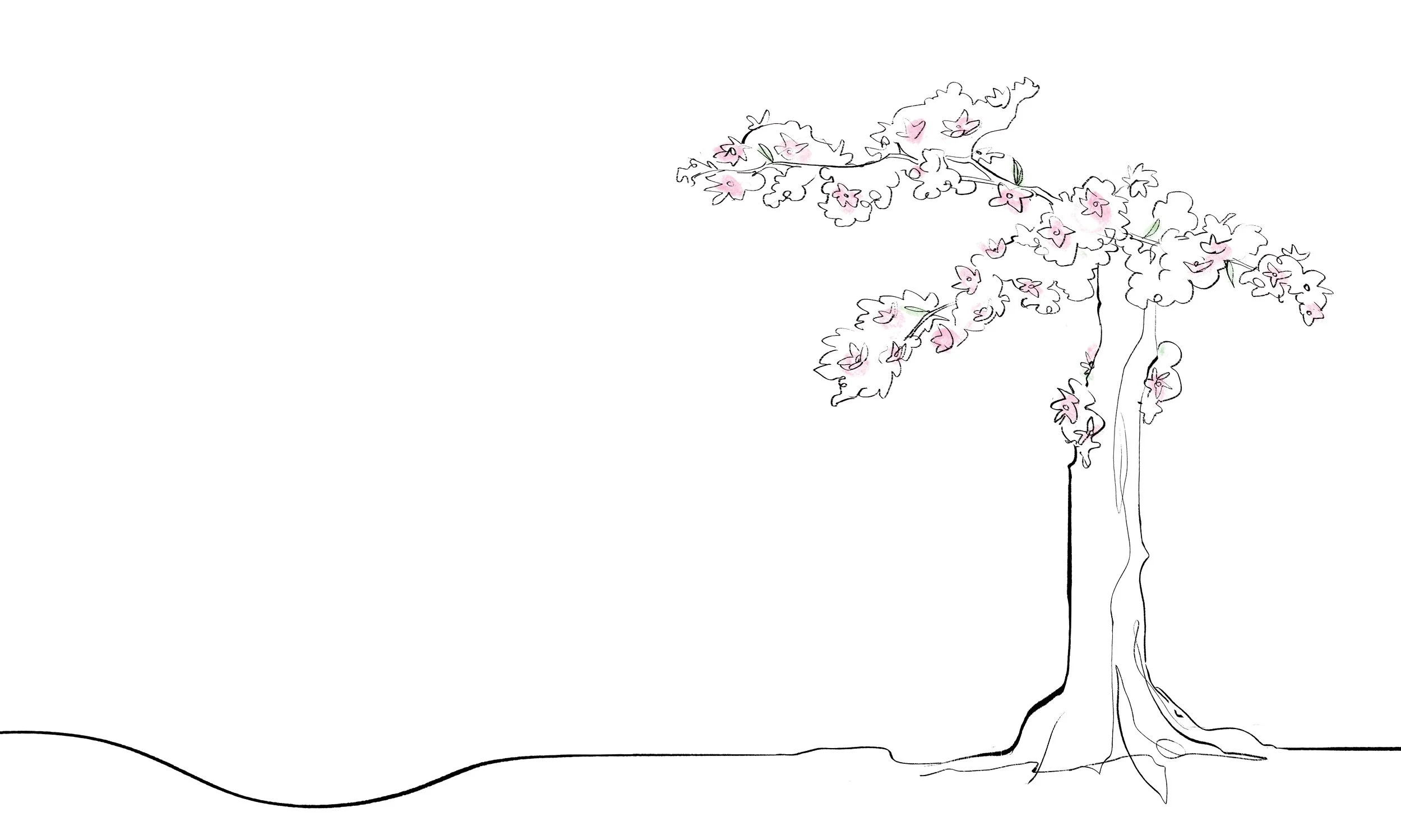 Line drawing of a cherry blossom tree with pink flowers.