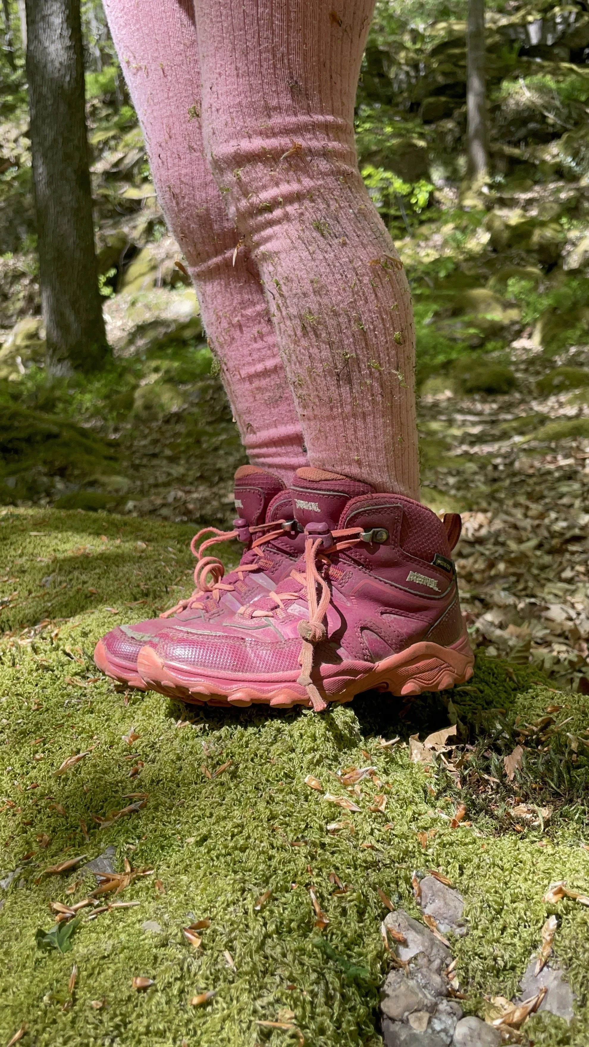Sortie nature avec un enfant de 5 ans : oublie tes objectifs de km et laisse-toi guider par leur regard