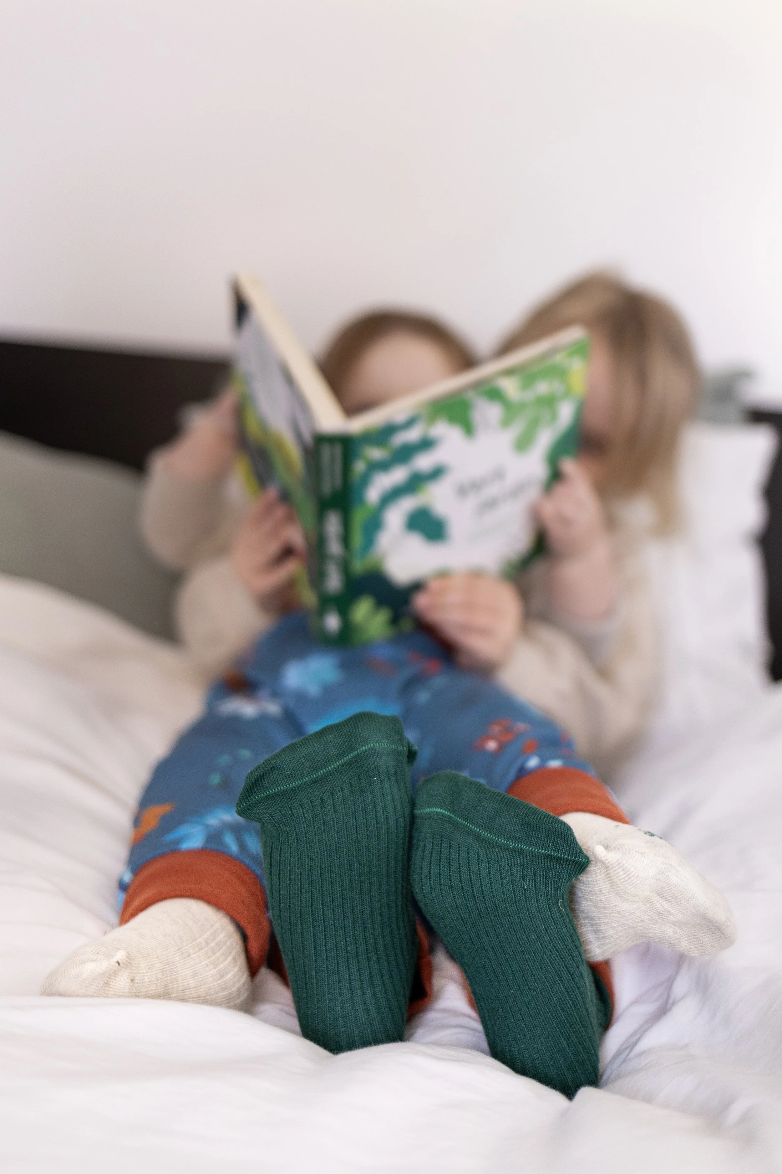 Chaussettes révolutionnaires