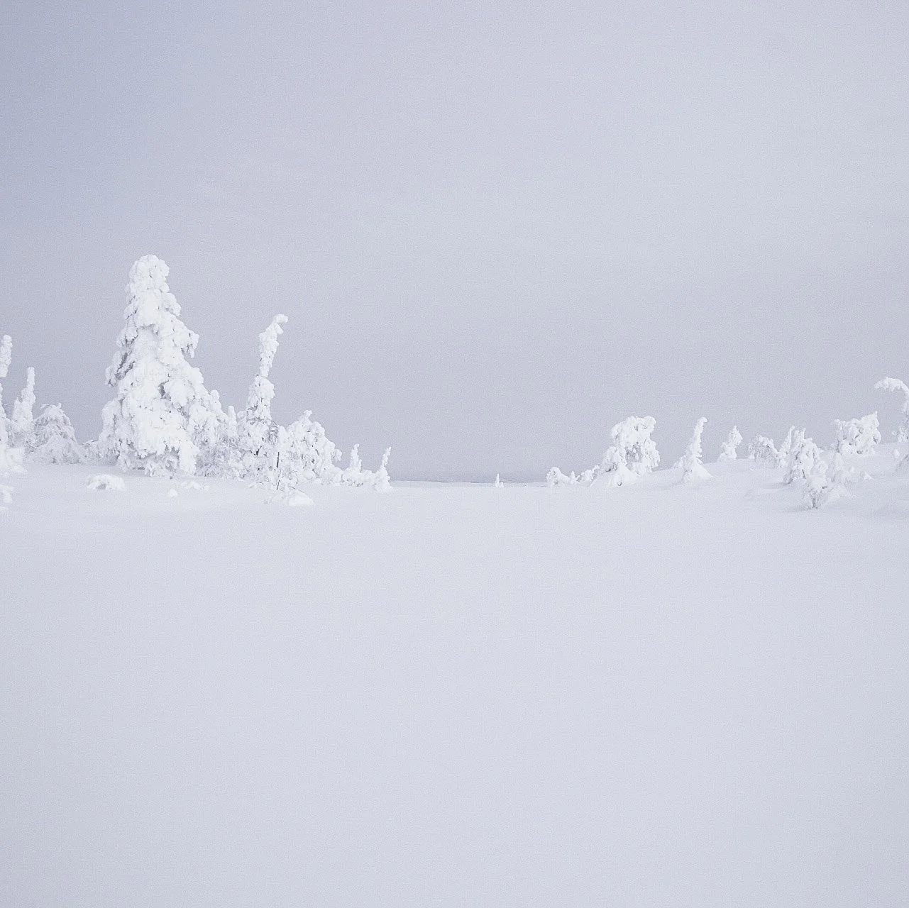 ikkunalampi talvella.jpg