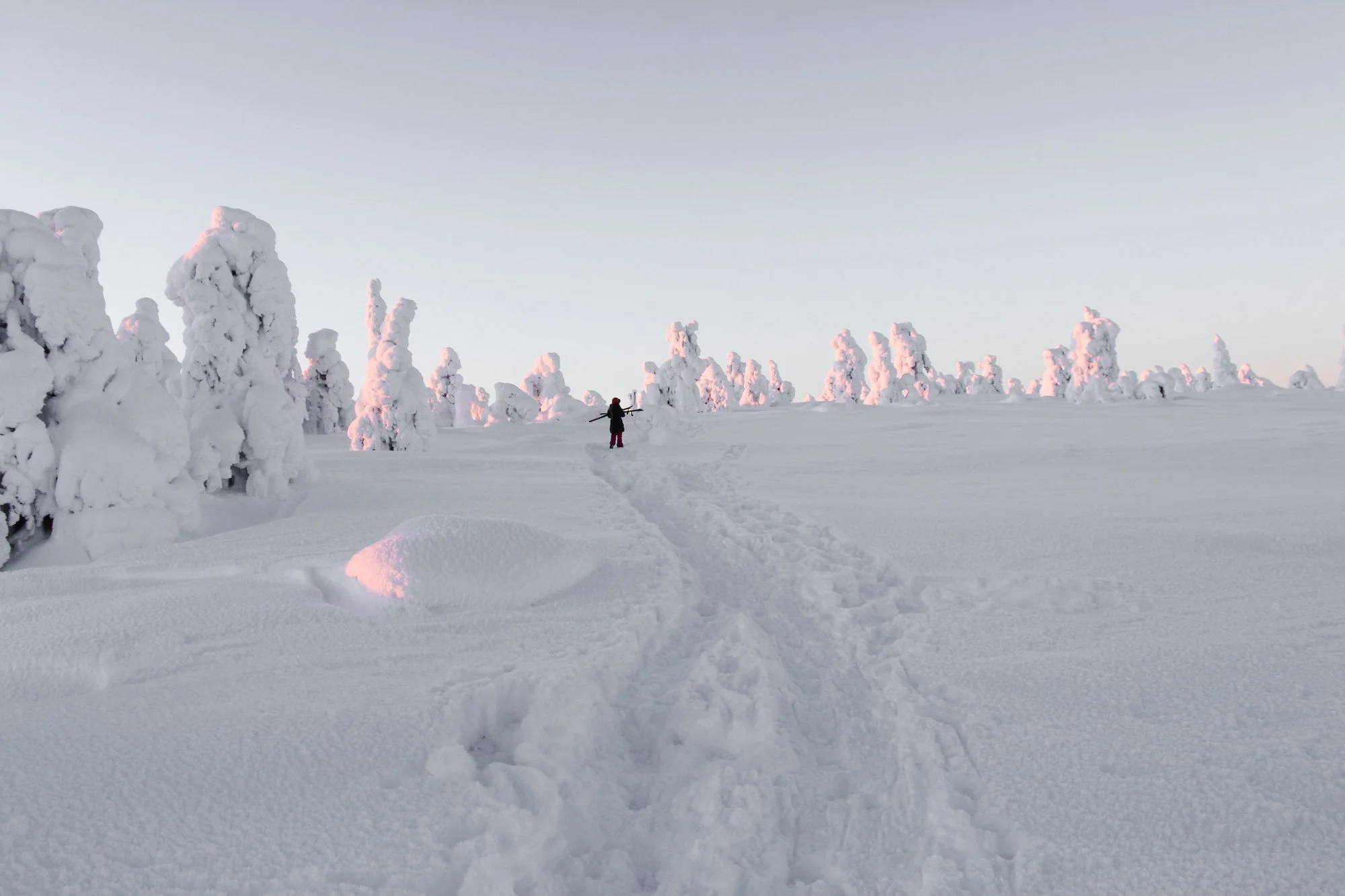 riisitunturi lasten kanssa.jpg