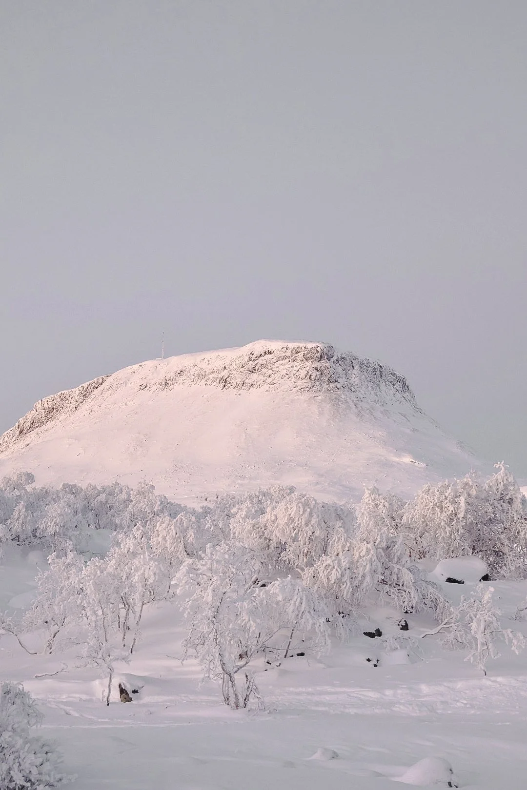 saana talviretki.jpg