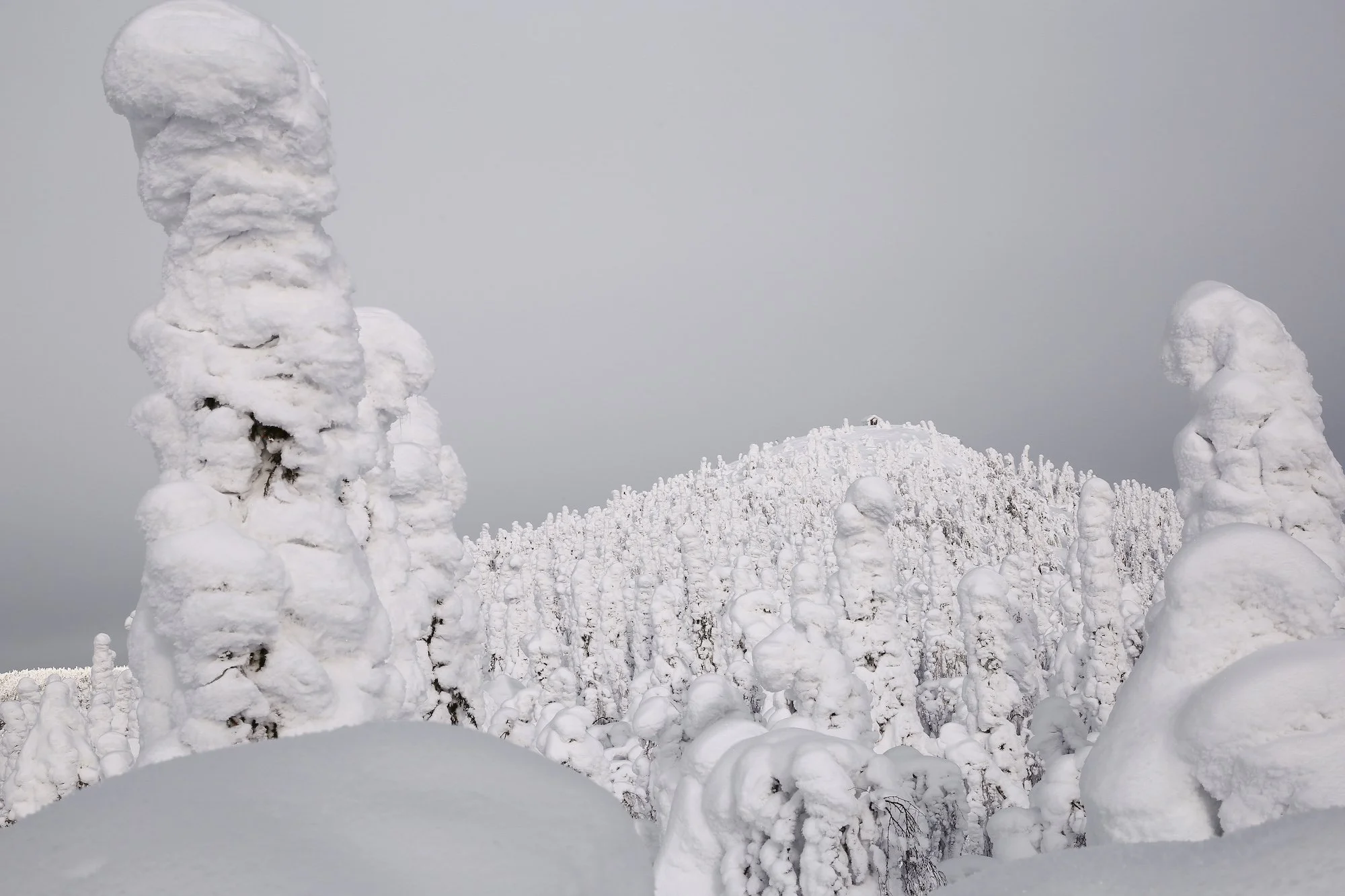 valtavaaran tupa.jpg