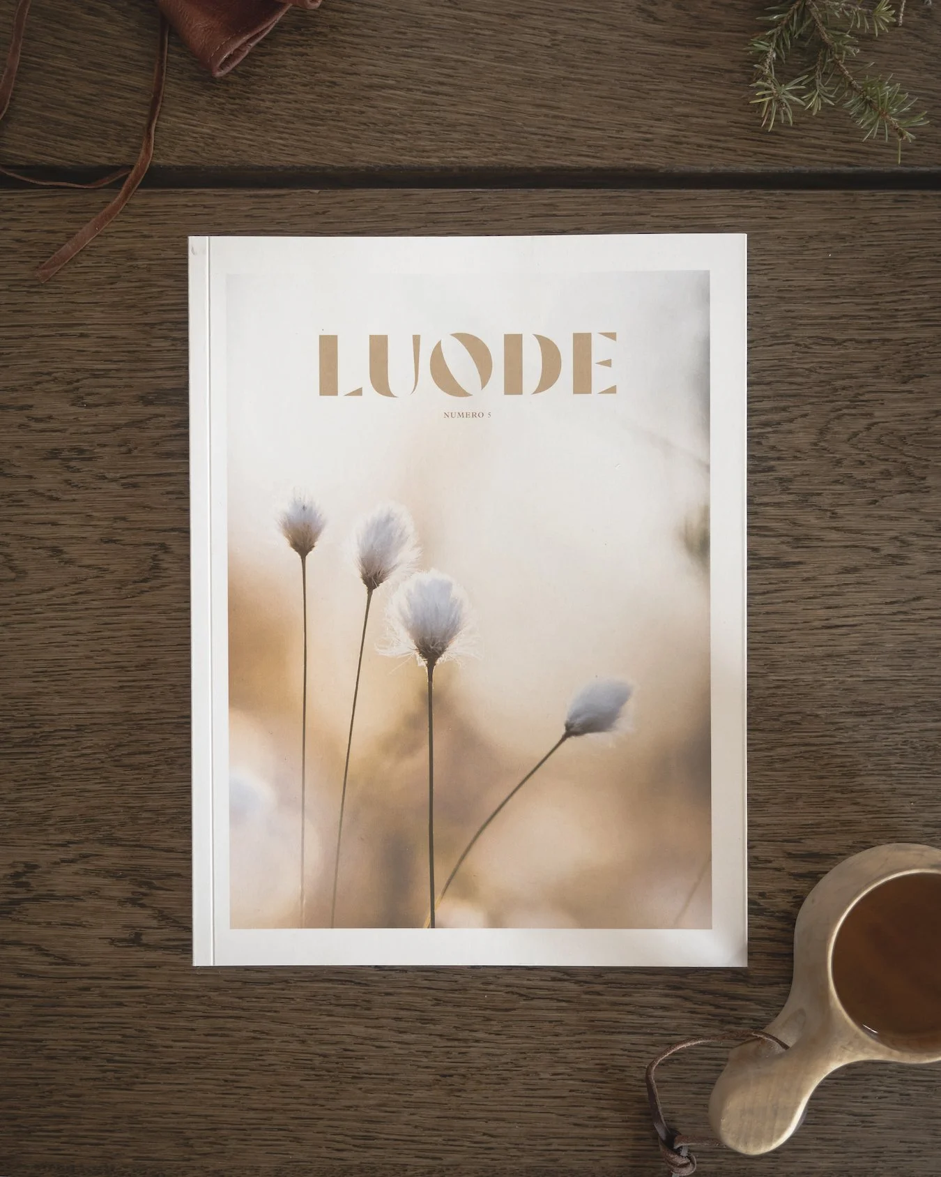 luode5 kansi iso2.jpg