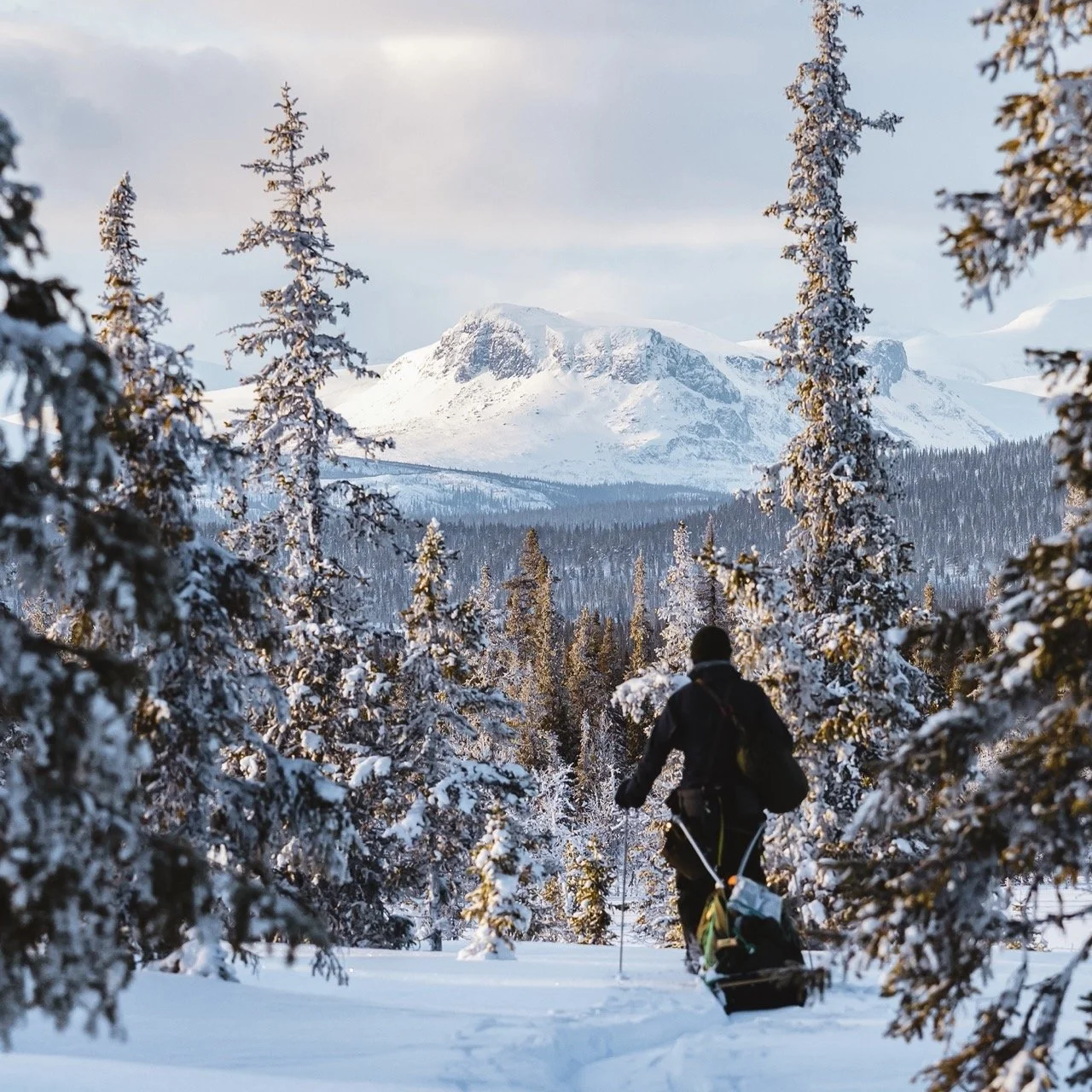 vuoden vaellus erno saukko.jpeg
