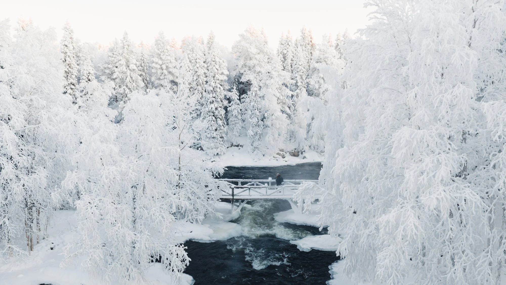 Nainen talvisessa metsässä sillalla