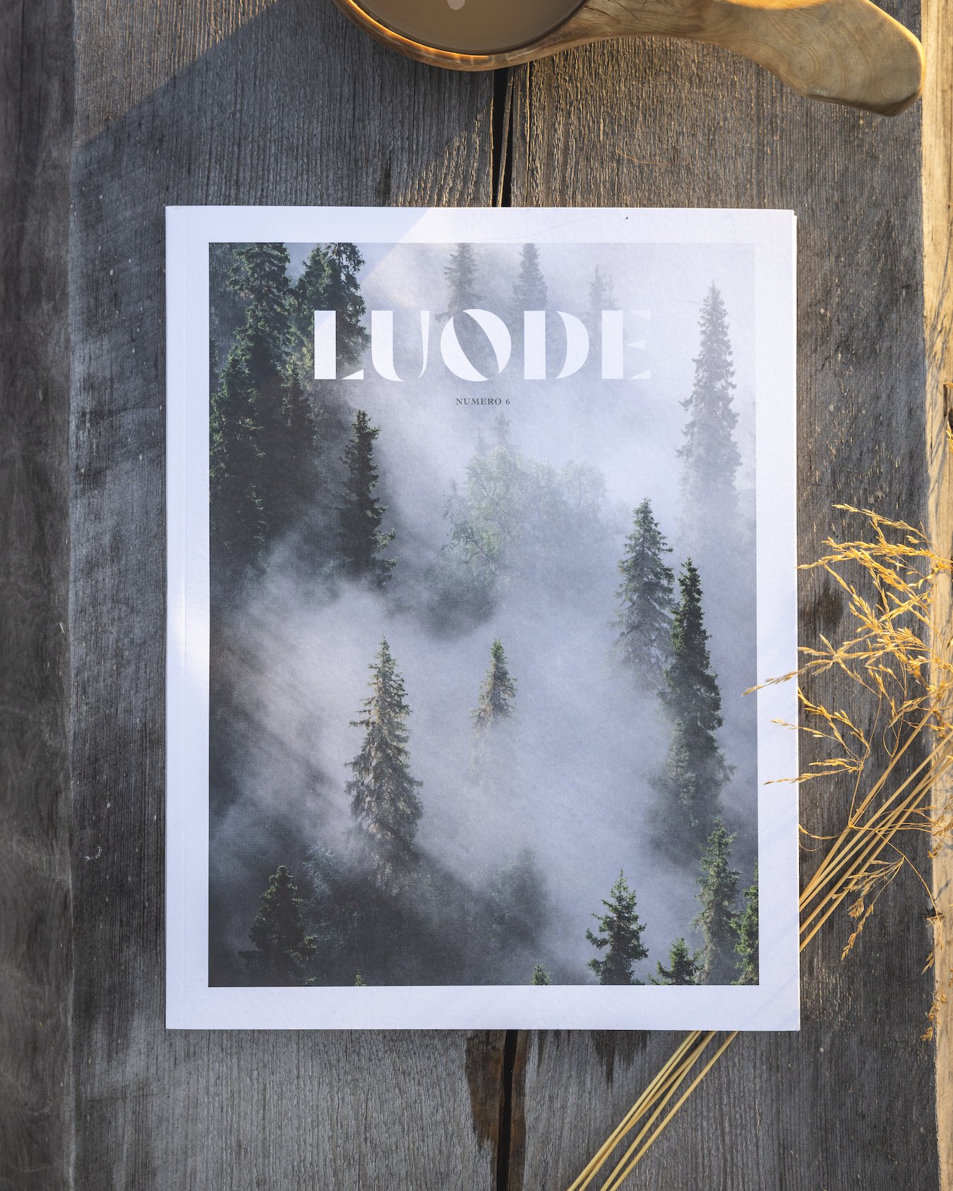 LUODE_nro-6_2.jpg
