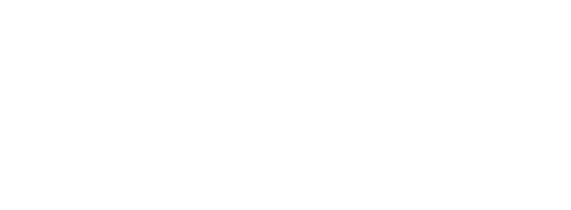 Eagles Wings International logo, a Redwoods Stewardship nonprofit accounting client