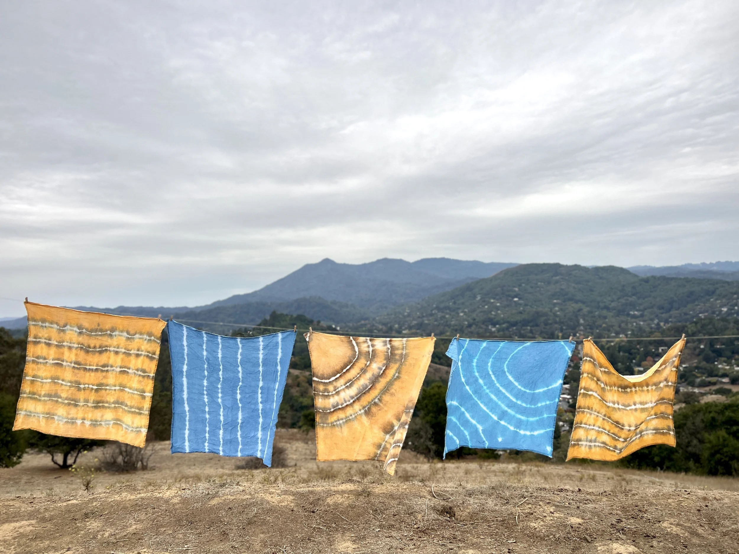 Hand Dyed Tea Towels