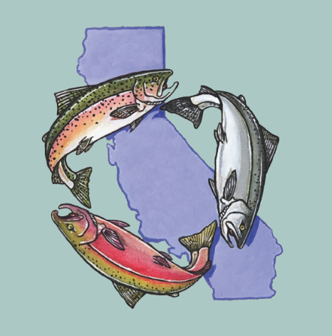 43rd Annual Salmonid Restoration Conference